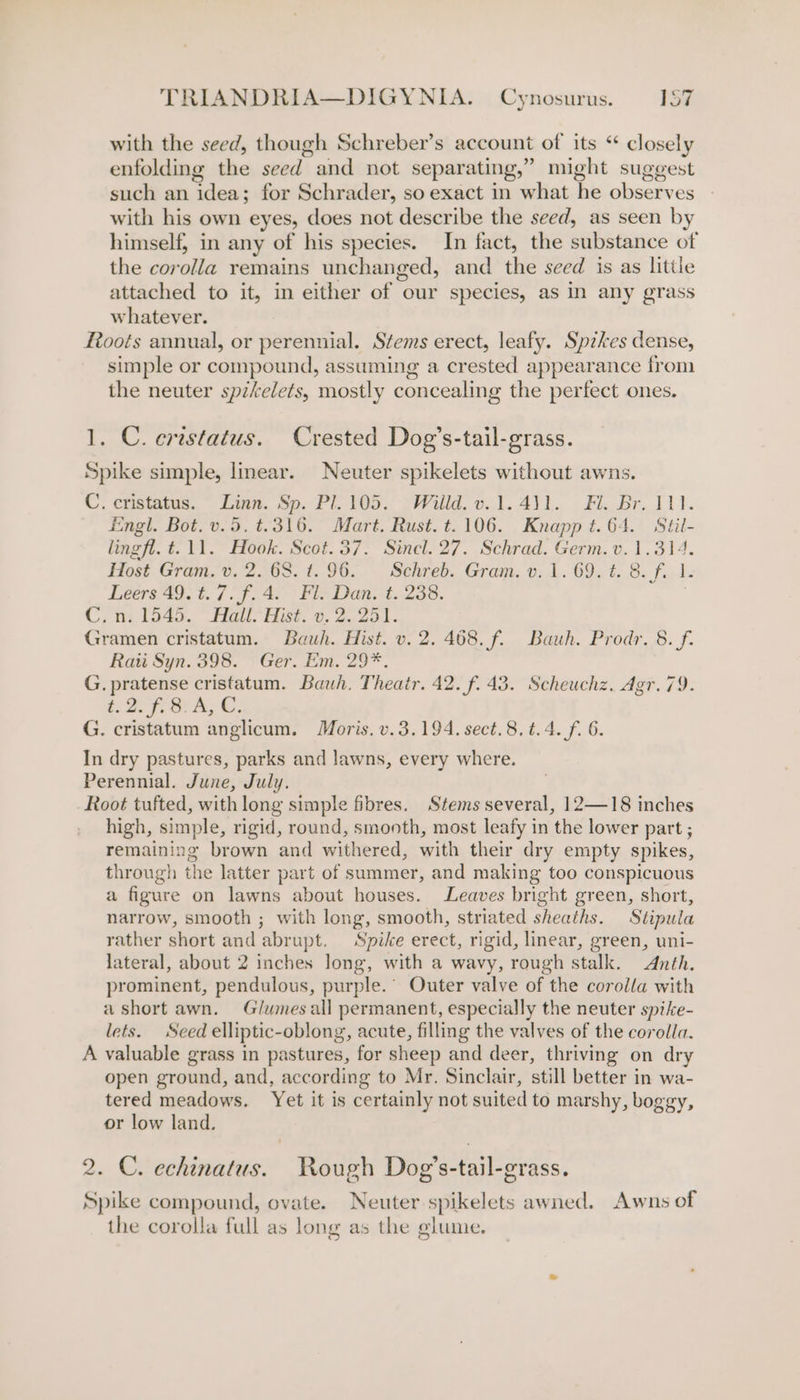 with the seed, though Schreber’s account of its “ closely enfolding the seed and not separating,” might suggest such an idea; for Schrader, so exact in what he observes with his own eyes, does not describe the seed, as seen by himself, in any of his species. In fact, the substance of the corolla remains unchanged, and the seed is as little attached to it, in either of our species, as in any grass whatever. foots annual, or perennial. Stems erect, leafy. Spikes dense, simple or compound, assuming a crested appearance fron the neuter spzkelets, mostly concealing the perfect ones. 1. C. ertstatus. Crested Dog’s-tail-grass. Spike simple, linear. Neuter spikelets without awns. C. enstatus..~ Linn. Sp. Pl. 105. »Willd, v.1. 4)).. Fl. Br.11). Engl. Bot. v.5.t.316. Mart. Rust. t. 106. Knapp t. 64. Séil- lingfl. t.11. Hook. Scot. 37. Sincl. 27. Schrad. Germ. v. 1.314. Host Gram. 6. 2.63. t. 96. — Schreb. Gram. v. 1. 69.1. 8. f.1. Leers 49. t.7. f.4. Fl. Dan. t. 238. Ce 1545..” Hall Hes. 6.2 251. Gramen cristatum. Bauh. Hist. v. 2. 468. f. Bauh. Prodr. 8. f. Raii Syn. 398. Ger. Em. 29*. G. pratense cristatum. Bauh. Theatr. 42. f. 43. Scheuchz. Agr.79. t. 2 Be A, C: G. cristatum anglicum. Moris. v.3.194. sect.8.t.4. f. 6. In dry pastures, parks and lawns, every where. Perennial. June, July. Root tufted, with long simple fibres. Stems several, 12—18 inches high, simple, rigid, round, smonth, most leafy in the lower part ; remaining brown and withered, with their dry empty spikes, through the latter part of summer, and making too conspicuous a figure on lawns about houses. Leaves bright green, short, narrow, smooth ; with long, smooth, striated sheaths. Stipula rather short and abrupt. Spike erect, rigid, linear, green, uni- lateral, about 2 inches long, with a wavy, rough stalk. Anth. prominent, pendulous, purple.’ Outer valve of the corolia with a short awn. Glumes all permanent, especially the neuter spike- lets. Seed elliptic-oblong, acute, filling the valves of the corolla. A valuable grass in pastures, for sheep and deer, thriving on dry open ground, and, according to Mr. Sinclair, still better in wa- tered meadows. Yet it is certainly not suited to marshy, boggy, or low land. 2. C. echinatus. Rough Dog’s-tail-grass. Spike compound, ovate. Neuter spikelets awned. Awns of the corolla full as long as the glume.