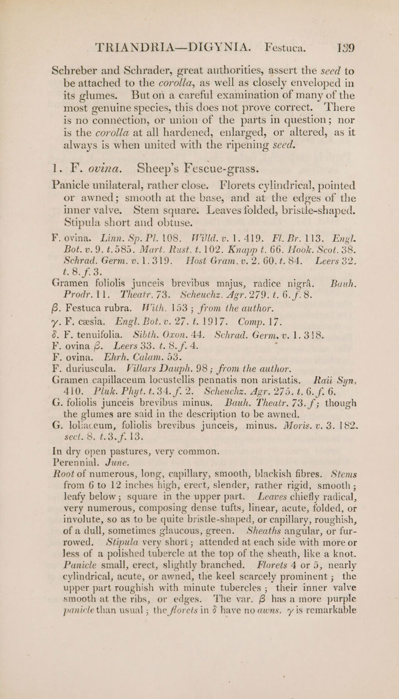 Schreber and Schrader, great authorities, assert the seed to be attached to the corolla, as well as closely enveloped in its glumes. But on a careful examination of many of the most genuine species, this does not prove correct. ‘here is no connéction, or union of the parts in question; nor is the corolla at all hardened, enlarged, or altered, as it always is when united with the ripening seed. FE. ovina. Sheep’s Fescue-grass. Panicle unilateral, rather close. Florets cylindrical, pointed or awned; smooth at the base, and at the edges of the inner valve. Stem square. Leaves folded, brisile-shaped. Stipula short and obtuse. F. ovina. Linn. Sp. Pl.108. Willd. v.1. 419. Fl. Br. 113. Engl. Bot. v.9.t.585. Mart. Rust. t. 102. Hie ae 66. Hook. Scot. 38. Schrad. Germ. v.1.319. Host Gram. v. 2. 60.t. 84. Leers 32. oo. f, oe Gramen foliolis junceis brevibus majus, radice nigra. Buuh. Prod? .t\. “Theatr. 720 Scheachz. Agr. 279: ¢. 6. F. 8. 6. Festuca rubra. With. 153; from the author. y. F. cesia, Engl. Bot.v. 27. ¢.1917. Comp. 17. 6. F. tenuifolia. Sibth. Oxon. 44. Schrad. Germ. v. 1.318. F. ovina £. Leers 33. t. 8./f. 4. ; F. ovina. Ehrh. Calam. 53. F. duriuscula. Villars Dauph. 98 ; from the ee Gramen capillaceum locustellis pennatis non aristatis. Raii Syn. 410. Pluk. Phyt.t.34. f. 2. Scheuchz. Agr. 275. t. 6. f. 6. G. foliolis junceis brevibus minus. Bauh. Tica 73. f; though the glumes are said in the description to be awned. G. loliaceum, foliolis brevibus junceis, minus. Moris. v, 3. 182. fect, tisaf.VD% In dry open pastures, very common. Perennial. June. Root of numerous, long, capillary, smooth, blackish fibres. Stems from 6 to 12 inches high, erect, slender, rather rigid, smooth ; leafy below; square in the upper part. Leaves chiefly radical, very numerous, composing dense tufts, linear, acute, folded, or involute, so as to be quite bristle-shaped, or capillary, roughish, of a dull, sometimes glaucous, green. Sheaths angular, or fur- rowed, Stipula very short; attended at each side with more or Jess of a polished tubercle at the top of the sheath, like a knot. Panicle small, erect, slightly branched. Florets 4 or 5, nearly cylindrical, acute, or awned, the keel scarcely prominent ; the upper part roughish with minute tubercles ; their inner ‘valve smooth at the ribs, or edges. ‘The var. B has a more purple panicle than usual ; the florets in 3 have no awns. y is remarkable