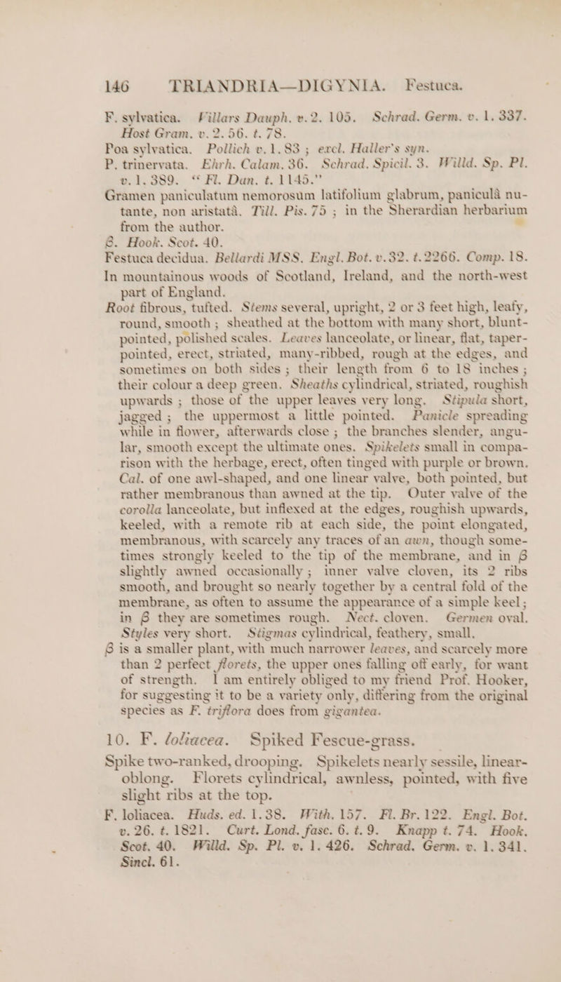 F. sylvatica. / ‘Wars Dauph. v.2. 105. Schrad. Germ. v. 1, 337. Host Gram, v. 2.56. t.78. Poa sylvatica. Pollich v.1.83 ; excl. Haller's syn. r triner rata. Ehrh. Calam. 36. Sehrad, Spicil. 3. Willd. Sp. Pl. v.1,389. ‘Fl. Dan. t. 1145. Grdmen paniculatum nemorosum latifolium glabrum, paniculé nu- tante, non aristata. Til’. Pis.75 ; in the Sherardian herbarium from the author. 8. Hook. Scot. 40. Festuca decidua. Bellardi MSS. Engl. Bot. v.32. #2266. Comp. 18. In mountainous woods of Scotland, Ireland, and the north-west part of England. Root fibrous, “tufted. Stems several, upright, 2 or 3 feet high, leafy, round, smooth ; sheathed at the ‘bottom with many short, blunt- pointed, polished scales. Leaves lanceolate, or linear, flat, taper- pointed, erect, striated, many-ribbed, rough at the edges, and sometimes on both sides s; their length from 6 to 18 inches ; their colour a deep green. Sheaths cylindrical, striated, roughish upwards ; those of the upper leaves very long. Stipula short, jagged ; the uppermost a little pointed. Panicle spreading while in flow er, afterwards close ; the branches slender, angu- lar, smooth except the ultimate ones. Spikelets small in compa- rison with the herbage, erect, often tinged with purple or brown. Cal. of one awl-shaped, and one linear valve, both pointed, but rather membranous than awned at the tip. Outer valve of the corolla lanceolate, but inflexed at the edges, roughish upwards, keeled, with a remote rib at each side, the point elongated, membranous, with scarcely any traces of an awn, though some- times strongly keeled to the tip of the membrane, and in 8 slightly hwned occasionally ; inner valve cloven, its 2 ribs smooth, and brought so nearly together by a central fold of the membrane, as often to assume the appearance of a simple keel ; in § they are sometimes rough. Nect. cloven. Germen oval. Styles very short. Ségmas cylindrical, feathery, small. 6 is a smaller plant, with much narrower leaves, and scarcely more than 2 perfect florets, the upper ones falling off early, for want of strength. lam entirely obliged to my friend Prof. Hooker, for suggesting it to be a variety only h differing from the original species as F. ‘triflora does from gigantea. . F. lohacea. Spiked Fescue-grass. ca two-ranked, drooping. Spikelets nearly sessile, linear- oblong. Florets cylindrical, awnless, pointed, with five slight ribs at the top. F. loliacea. Huds. ed. 1.38. With. 157. Fl. Br. 122. Engl. Bot. v. 26. ¢ 1821. Curt. Lond. fase. 6.%.9. Knapp t. 74. Hook. Scot. 40. Willd. Sp. Pl. v. 1.426. Schrad. Germ. v. 1. 341. Sincl. 61.