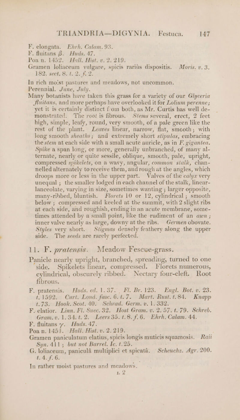 F. elongata. Ehrh. Calam. 93. F. fluitans 8. Huds. 47. Poa n. 1452. Hall. Hist. v. 2. 219. Gramen loliaceum eee ‘spicis rarius dispositis. Moris. v. 3. 182. sect. 8. t. 2. f. 2. In rich moist pastures and meadows, not uncommon. Perennial. June, July. Many botanists have taken this grass for a variety of our Glyceria JSluitans, and more perhaps have overlooked it for Lolium perenne; yet it is certainly distinct fom both, as Mr. Curtis has well de- monstrated. The root is fibrous. Stems several, erect, 2 feet high, simple, leafy, round, very smooth, of a pale green like the rest of the plant. Leaves linear, narrow, flat, smooth; with Jong smooth sheaths; and extremely short stipulas, embracing the stem at each side with a small acute auricle, as in F. gigantea. Spike a span long, or more, generally unbranched, of many al- ternate, nearly or quite sessile, oblique, smocth, pale, upright, compressed spikelets, on a wavy, angular, common sialk, chan- nelled alternately to receive them, and rough at the angles, which droops more or less in the upper part. Valves of the calyx very unequal ; the smaller lodged in each channel of the stalk, linear- lanceolate, varying in size, sometimes wanting ; larger opposite, many-ribbed, bluntish. Florets 10 or 12, cylindrical ; smooth below ; compressed and keeled at the summit, with 2 slight ribs at each side, and roughish, ending in an acute membrane, some- times attended by a small point, like the rudiment of an awn ; inner valve nearly as large, downy at the ribs. Germen obovate. Styles very short. Séigmas densely feathery along the upper side. The seeds are rarely perfected. . F. pratensis. Meadow Fescue-grass. coat nearly upright, branched, spreading, turned to one ‘side. Spikelets linear, compressed. Florets numerous, cylindrical, obscurely ribbed. Nectary four-cleft. Root fibrous. F. pratensis. Huds. ed. 1.37. Fl. Br. 123. Engl. Bot. v. 23. t.1592. Curt. Lond. fasc. 6.t.7. Mart. Rust. t.84. Knapp t.73. Hook. Scot. 40. Schrad. Germ. v. 1. 332. F. elatior. Linn. Fl. Suec. 32. Host Gram. v. 2.57. t. 79. Schreb. Gram. v. 1.34. ¢. 2. Leers 35. t.8. f.6. Ehrh. Calam. 44. F. fluitans y. Huds. 47. Poan. 1451. Hall. Hist.v. 2.219. Gramen paniculatum elatius, spicis longis muticis squamosis. Raz Syn. 411; but not Barrel. Ic. t.25. G. loliaceum, paniculé multiplici et spicaté. Scheuchz. Agr, 200. t.4. f. 6. In rather moist pastures and meadows. L 2