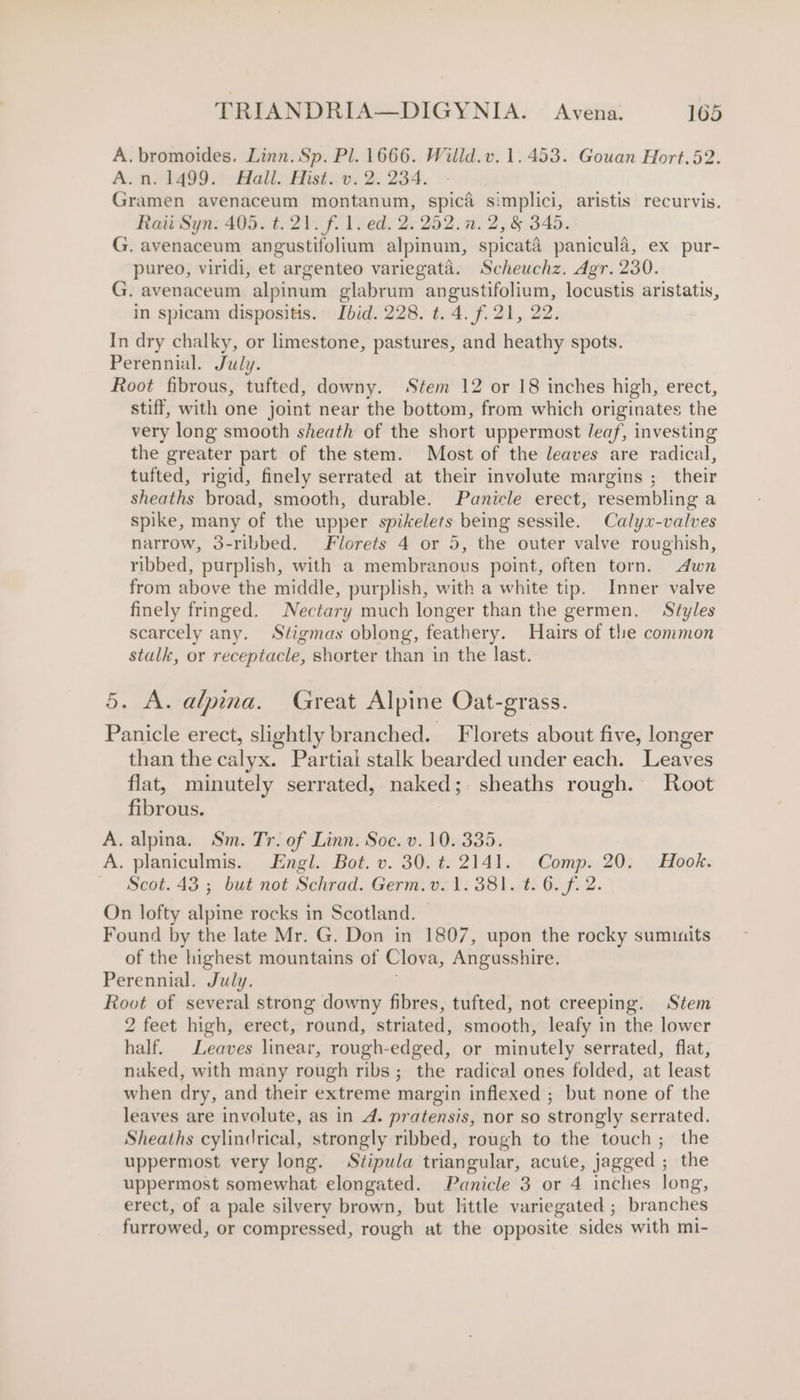 A. bromoides. Linn. Sp. Pl. 1666. Willd.v. 1.453. Gouan Hort.52. A.n. 1499. Hall. Hist. v. 2. 234. Gramen avenaceum montanum, spica simplici, aristis recurvis. Raitt Syn. 405. t. 21. f. 1. ed. 2. 252.0. 2, &amp; 345. G. avenaceum angustifolium alpinum, spicata panicula, ex pur- pureo, viridi, et argenteo variegata. Scheuchz. Agr. 230. G. avenaceum alpinum glabrum angustifolium, locustis aristatis, in spicam dispositis. Ibid. 228. t. 4. f. 21, 22 In dry chalky, or limestone, pastures, and heathy spots. Perennial. July. Root fibrous, tufted, downy. Stem 12 or 18 inches high, erect, stiff, with one joint near the bottom, from which originates the very long smooth sheath of the short uppermost /eaf, investing the greater part of the stem. Most of the leaves are radical, tufted, rigid, finely serrated at their involute margins ; their sheaths broad, smooth, durable. Panicle erect, resembling a spike, many of the upper spikelets being sessile. Calyx-valves narrow, 3-ribbed. Florets 4 or 5, the outer valve roughish, ribbed, purplish, with a membranous point, often torn. dwn from above the middle, purplish, with a white tip. Inner valve finely fringed. Nectary much longer than the germen. Styles scarcely any. Stigmas oblong, feathery. Hairs of tlhe common stalk, or receptacle, shorter than in the last. 5. A. alpina. Great Alpine Oat-grass. Panicle erect, slightly branched. Florets about five, longer than the calyx. Partial stalk bearded under each. Leaves flat, minutely serrated, naked; sheaths rough. Root Hecone. A. alpina. Sm. Tr. of Linn. Soc. v.10. 335. A. planiculmis. Engl. Bot. v. 30. ¢. 2141. Comp. 20. Hook. — Scot.43; but not Schrad. Germ.v. 1. 381. t. 6. f. 2. On lofty alpine rocks in Scotland. Found by the late Mr. G. Don in 1807, upon the rocky sumiuits of the highest mountains of Clova, Angusshire. Perennial. July. Root of several strong downy fibres, tufted, not creeping. Stem 2 feet high, erect, round, striated, smooth, leafy in the lower half. Leaves linear, rough-edged, or minutely serrated, flat, naked, with many rough ribs; the radical ones folded, at least when dry, and their extreme margin inflexed ; but none of the leaves are involute, as in A. pratensis, nor so strongly serrated. Sheaths cylindrical, strongly ribbed, rough to the touch; the uppermost very long. Stipula triangular, acute, jagged ; the uppermost somewhat elongated. Panicle 3 or 4 inches long, erect, of a pale silvery brown, but little variegated ; branches furrowed, or compressed, rough at the opposite sides with mi-