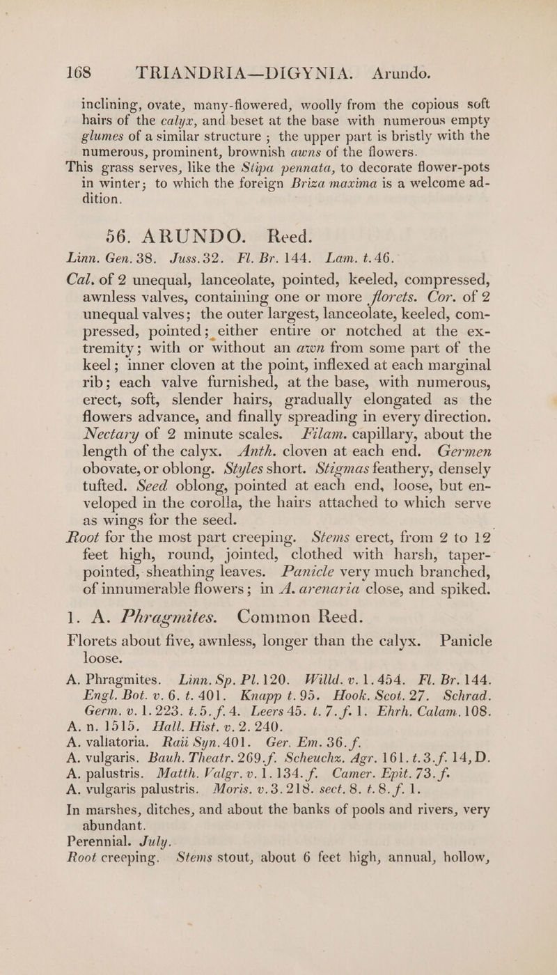inclining, ovate, many-flowered, woolly from the copious soft hairs of the calyx, and beset at the base with numerous empty glumes of a similar structure ; the upper part is bristly with the numerous, prominent, brownish awns of the flowers. This grass serves, like the Stipa pennata, to decorate flower-pots in winter; to which the foreign Briza maxima is a welcome ad- dition. 56. ARUNDO. Reed. Linn. Gen. 38. Juss.32. Fl. Br. 144. Lam. t.46. Cal. of 2 unequal, lanceolate, pointed, keeled, compressed, awnless valves, containing one or more florets. Cor. of 2 unequal valves; the outer largest, lanceolate, keeled, com- pressed, pointed; either entire or notched at the ex- tremity; with or without an awn from some part of the keel; inner cloven at the point, inflexed at each marginal rib; each valve furnished, at the base, with numerous, erect, soft, slender hairs, gradually elongated as the flowers advance, and finally spreading in every direction. Nectary of 2 minute scales. %lam. capillary, about the length of the calyx. Anth. cloven at each end. Germen obovate, or oblong. Styles short. Stzgmas feathery, densely tufted. Seed oblong, pointed at each end, loose, but en- veloped in the corolla, the hairs attached to which serve as wings for the seed. Root for the most part creeping. Stems erect, from 2 to 12 feet high, round, jointed, clothed with harsh, taper- pointed, sheathing leaves. Panicle very much branched, of innumerable flowers; in 4. arenaria close, and spiked. 1. A. Phragmites. Common Reed. Florets about five, awnless, longer than the calyx. Panicle loose. A. Phragmites. Linn. Sp. Pl.120. Willd. v.1.454. Fl. Br. 144. Engl. Bot. v.6.t. 401. Knapp t.95. Hook. Scot.27. Schrad. Germ. v. 1.223. ¢.5. f.4. Leers 45. t.7.f.1. Ehrh. Calam.108. .n.1515. Hall. Hist. v. 2.240. .vallatoria. Raii Syn.401. Ger. Em. 36. f. . vulgaris. Bauh. Theatr. 269.f. Scheuchz. Agr. 161.¢.3.f. 14, D. . palustris. Matth. Valgr.v.1.134. f. Camer. Epit. 73. f. . vulgaris palustris. Moris. v.3.218. sect. 8. t.8.f. 1. In marshes, ditches, and about the banks of pools and rivers, very abundant. Perennial. July. Root creeping. Stems stout, about 6 feet high, annual, hollow, &gt; &gt; &gt; &gt; &gt;