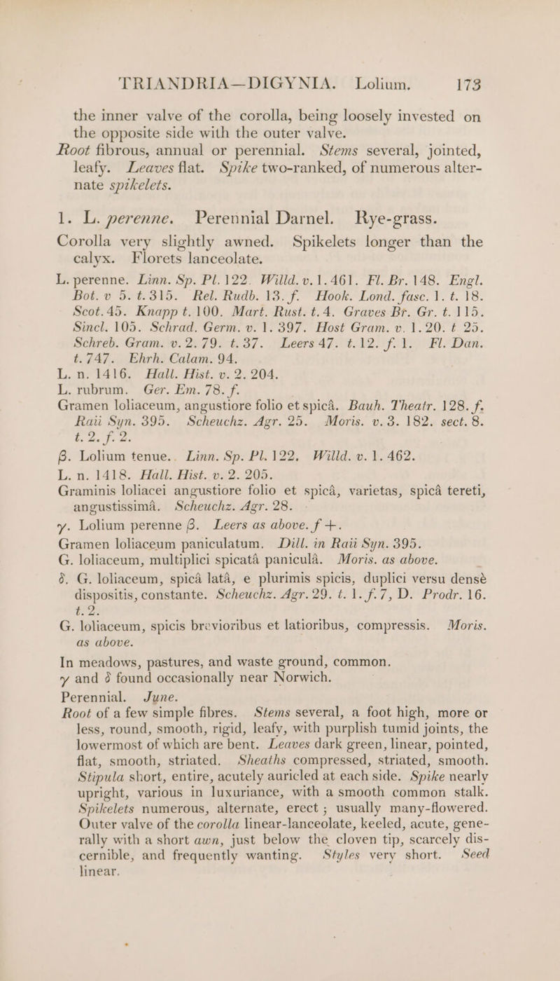 the imner valve of the corolla, being loosely invested on the opposite side with the outer valve. foot fibrous, annual or perennial. Stems several, jointed, leafy. Leaves flat. Spzke two-ranked, of numerous alter- nate spzkelets. 1. Li. perenne. Perennial Darnel. Rye-grass. Corolla very slightly awned. Spikelets longer than the calyx. Florets lanceolate. L. perenne. Linn. Sp. Pl. 122. Willd.v.1.461. Fl. Br. 148. Engl. Bot. v 5.¢.315. Rel. Rudb. 13. f. Hook. Lond. fase. 1. t. 18. Scot.45. Knapp t.100. Mart. Rust. t.4. Graves Br. Gr. t.115. Sincl. 105. Schrad. Germ. v. 1.397. Host Gram. v. 1.20. ¢ 25. Sehreb. Gramin. 2079.-t 37. Leers47ti12. fA FleDan. t.747. Ehrh. Calam. as L.n. 1416. Hall. Hist. v. 2. 204. L. rubrum. Ger. Em. 78. f. Gramen loliaceum, angustiore folio et spicd. Bauh. Theatr. 128. f. Raii Syn. 395. Scheuchz. Agr. 25. . Moris. v.3. 182. sect. 8. be ee fo 6. Lolium tenue.. Linn. Sp. Pl. 122, Willd. v. 1. 462. L. n. 1418. Hall. Hist..v. 2. 205. Graminis loliacei angustiore folio et spicd, varietas, spica tereti, angustissima. Scheuchz. Agr. 28. y. Lolium perenne 6. Leers as above. f +. Gramen loliaceum paniculatum. Dill. in Rati Syn. 395. G. loliaceum, multiplici spicata panicula. Moris. as above. 6. G. loliaceum, spicé lata, e plurimis spicis, duplici versu densé dispositis, constante. Scheuchz. Agr. 29. t.1. f.7, D. Prodr. 16. 6:2. G. loliaceum, spicis brevioribus et latioribus, compressis. Moris. as above. In meadows, pastures, and waste ground, common. y and @ found occasionally near Norwich. Perennial. June. Root of a few simple fibres. Stems several, a foot high, more or less, round, smooth, rigid, leafy, with purplish tumid joints, the lowermost of which are bent. Leaves dark green, linear, pointed, flat, smooth, striated. Sheaths compressed, striated, smooth. Stipula short, entire, acutely auricled at each side. Spike nearly upright, various in luxuriance, with a smooth common stalk. Spikelets numerous, alternate, erect ; usually many-flowered. Outer valve of the corolla linear- lanceolate, keeled, acute, gene- rally with a short awn, just below the cloven tip, scarcely dis- cernible, and frequently wanting. Styles very short. Seed linear,