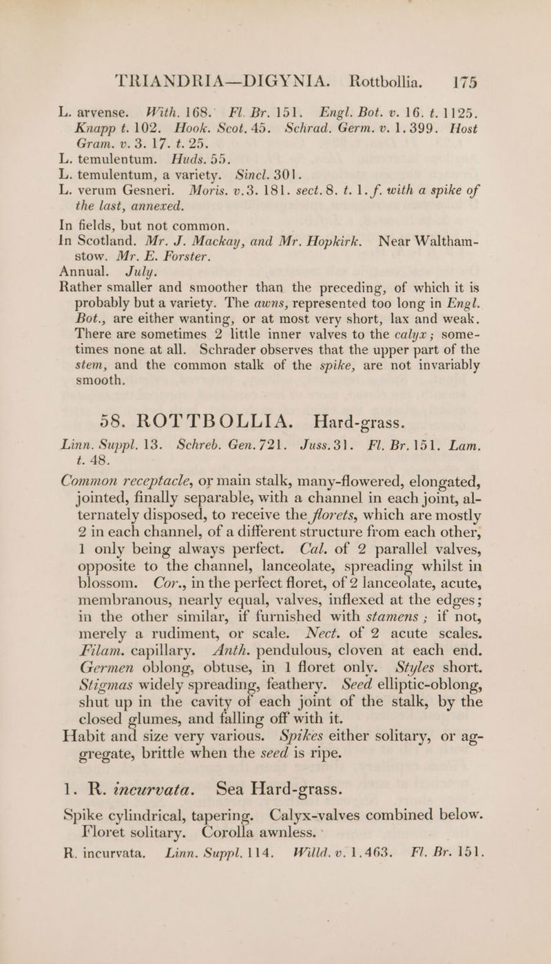 L. arvense. With. 168. Fl. Br. 151. Engl. Bot. v. 16. t. 1125. Knapp t.102. Hook. Scot.45. Schrad. Germ. v. 1.399. Host Gram. v. 3. 17. t. 25. L. temulentum. Huds. 55. L. temulentum, a variety. Sincl. 301. L. verum Gesneri. Moris. v.3. 181. sect.8. t. 1. f. with a spike of the last, annexed. In fields, but not common. In Scotland. Mr. J. Mackay, and Mr. Hopkirk. Near Waltham- stow. Mr. E. Forster. Annual. July. Rather smaller and smoother than the preceding, of which it is probably but a variety. The awns, represented too long in Engl. Bot., are either wanting, or at most very short, lax and weak. There are sometimes 2 little inner valves to the calyx; some- times none at all. Schrader observes that the upper part of the stem, and the common stalk of the spike, are not invariably smooth. 58. ROT TBOLLIA. Hard-grass. Linn. Suppl. 13. Schreb. Gen.721. Juss.3). Fl. Br.151. Lam. t. 48. Common receptacle, or main stalk, many-flowered, elongated, jointed, finally separable, with a channel in each joint, al- ternately disposed, to receive the florets, which are mostly 2 in each channel, of a different structure from each other, 1 only being always perfect. Cal. of 2 parallel valves, opposite to the channel, lanceolate, spreading whilst in blossom. Cor., in the perfect floret, of 2 lanceolate, acute, membranous, nearly equal, valves, inflexed at the edges; in the other similar, if furnished with stamens ; if not, merely a rudiment, or scale. Nect. of 2 acute scales. Filam. capillary. Anth. pendulous, cloven at each end. Germen oblong, obtuse, in 1 floret only. Styles short. Stigmas widely spreading, feathery. Seed elliptic-oblong, shut up in the cavity of each joint of the stalk, by the closed glumes, and falling off with it. Habit and size very various. Spzkes either solitary, or ag- gregate, brittle when the seed is ripe. 1. R. encurvata. Sea Hard-grass. Spike cylindrical, tapering. Calyx-valves combined below. Tloret solitary. Corolla awnless. - R. incurvata. Linn. Suppl.114. Willd. v. 1.463. Fl. Br. 151.