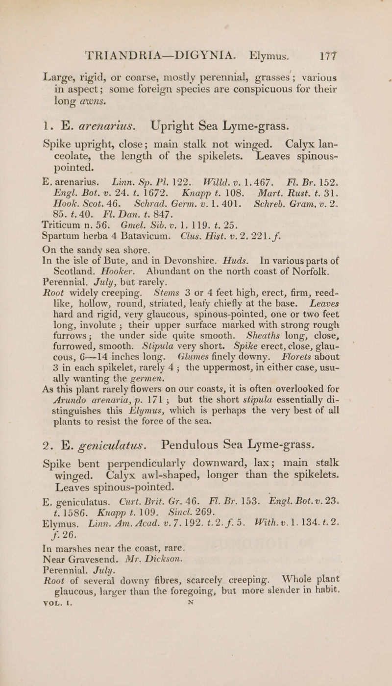 Large, rigid, or coarse, mostly perennial, grasses; various in aspect; some foreign species are conspicuous for their long awns. 1. E. arenarius. Upright Sea Lyme-grass. Spike upright, close; main stalk not winged. Calyx lan- ceolate, the length of the spikelets. Leaves spinous- pointed. : E. arenarius. Linn. Sp. Pl, 122.. Willd.v.1.467. Fl. Br. 152. Engl. Bot. v. 24. t=. 1672. Knapp t. 108. Mart. Rust. t. 31. Hook. Scot.46. Schrad. Germ. v.1.401. Schreb. Gram, v. 2. 85. 4.40. Fl. Dan. t. 847. Triticum n. 56. Gmel. Sib. v. 1.119. t. 25. Spartum herba 4 Batavicum. Clus. Hist. v. 2.221. f. On the sandy sea shore. In the isle of Bute, and in Devonshire. Huds. In various parts of Scotland. Hooker. Abundant on the north coast of Norfolk. Perennial. July, but rarely. Root widely creeping. Stems 3 or 4 feet high, erect, firm, reed- like, hollow, round, striated, leafy chiefly at the base. Leaves hard and rigid, very glaucous, spinous-pointed, one or two feet long, involute ; their upper surface marked with strong rough furrows; the under side quite smooth. Sheaths long, close, furrowed, smooth. Stipula very short. Spike erect, close, glau- cous, 6—-14 inches long. Glumes finely downy. Florets about 3 in each spikelet, rarely 4; the uppermost, in either case, usu- ally wanting the germen. As this plant rarely flowers on our coasts, it is often overlooked for Arundo arenaria, p. 171; but the short stipula essentially di- stinguishes this Elymus, which is perhaps the very best of all plants to resist the force of the sea. 2. E. geniculatus. Pendulous Sea Lyme-grass. Spike bent perpendicularly downward, lax; main stalk winged. Calyx awl-shaped, longer than the spikelets. Leaves spinous-pointed. E. geniculatus. Curt. Brit. Gr. 46. Fl. Br. 153. Engl. Bot. v. 23. t.1586. Knapp t.109. Sinel. 269. Elymus. Linn. Am. Acad. v.7.192. t.2. f.5. With. v.1. 134. t. 2. f. 26, In marshes near the coast, rare. Near Gravesend. Mr. Dickson. Perennial. July. Root of several downy fibres, scarcely creeping. Whole plant glaucous, laryer than the foregoing, but more slender in habit. VOL. I, N