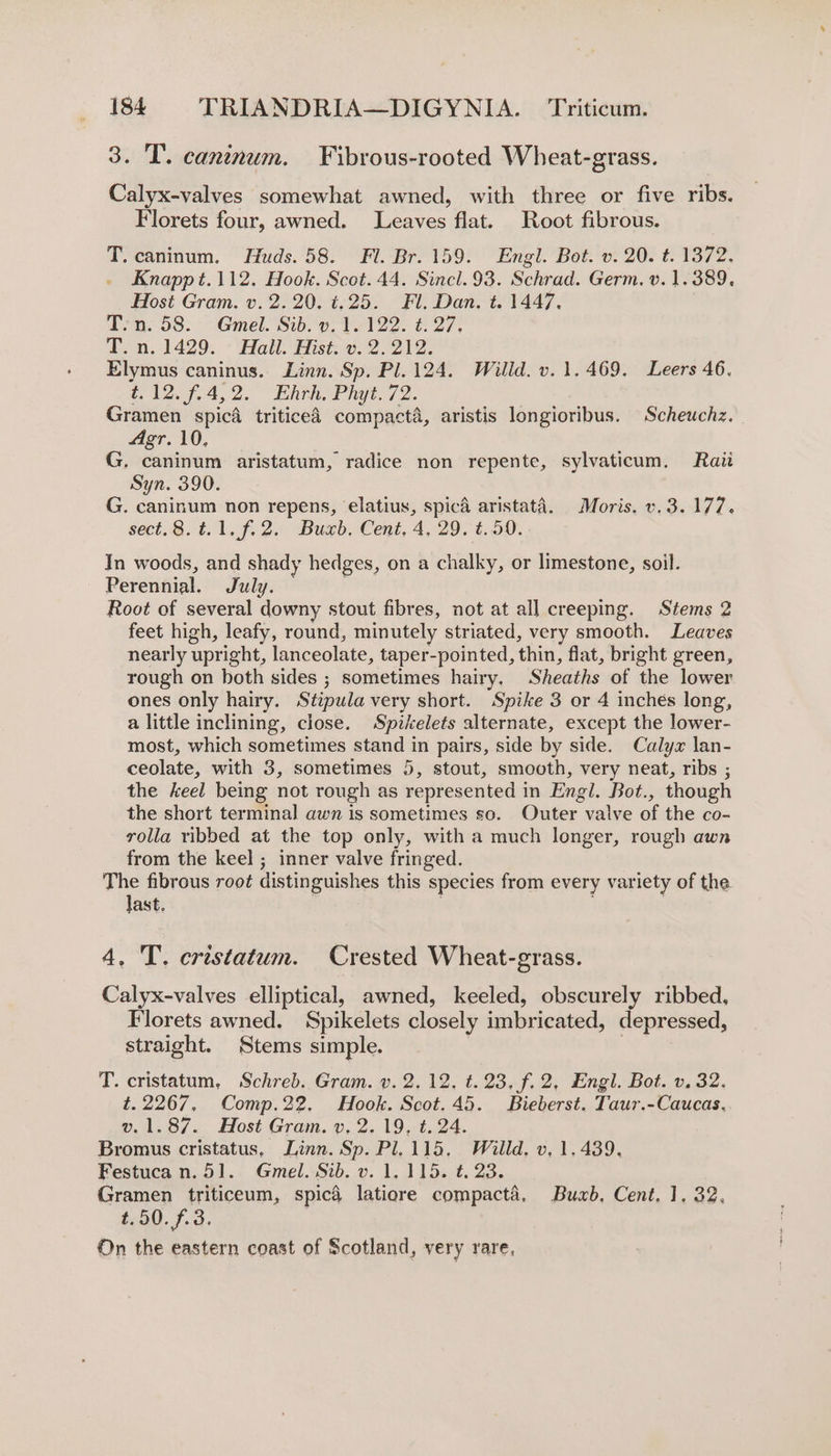 3. T. caninum. Fibrous-rooted Wheat-grass. Calyx-valves somewhat awned, with three or five ribs. Florets four, awned. Leaves flat. Root fibrous. T. caninum. Huds. 58. Fl. Br. 159. Engl. Bot. v. 20. t. 1372. Knapp t.112. Hook. Scot. 44. Sincl.93. Schrad. Germ. v. 1.389. Host Gram. v. 2.20, t.25. Fl. Dan. t. 1447, Tn. 58. Gmel. Sib. vy. 1.122. ¢. 27, ie. 1429. &gt; Hatt. Hise: 2 212, Elymus caninus. Linn. Sp. Pl. 124. Willd. v. 1.469. Leers 46. £12, 74,2. Ehrh Phys, 72. Gramen spicd triticeé compacta, aristis longioribus. Scheuchz. Agr. 10, G. caninum aristatum, radice non repente, sylvaticum. Raii Syn. 390. G. caninum non repens, elatius, spicd aristata. Moris. v.3.177. sect.8.t.1.f.2. Bub. Cent. 4, 29. t.590. In woods, and shady hedges, on a chalky, or limestone, soil. Perennial. July. . Root of several downy stout fibres, not at all creeping. Stems 2 feet high, leafy, round, minutely striated, very smooth. Leaves nearly upright, lanceolate, taper-pointed, thin, flat, bright green, rough on both sides ; sometimes hairy, Sheaths of the lower ones only hairy. Stipula very short. Spike 3 or 4 inches long, a little inclining, close. Spikelets alternate, except the lower- most, which sometimes stand in pairs, side by side. Calyx lan- ceolate, with 3, sometimes 5, stout, smooth, very neat, ribs ; the keel being not rough as represented in Engl. Bot., though the short terminal awn is sometimes so. Outer valve of the co- rolla ribbed at the top only, with a much longer, rough awn from the keel ; inner valve fringed. The fibrous root distinguishes this species from every variety of the last. . 4, T. cristatum. Crested Wheat-grass. Calyx-valves elliptical, awned, keeled, obscurely ribbed, Florets awned. Spikelets closely imbricated, depressed, straight. Stems simple. . T. cristatum, Schreb. Gram. v. 2, 12, t. 23, f.2, Engl. Bot. v, 32. t. 2267, Comp.22. Hook. Scot.45. Bieberst. Taur.-Caucas. v.1.87. Host Gram. v, 2. 19, t. 24. Bromus cristatus, Linn. Sp. Pl,115. Willd. v, 1.439, Festuca n. 51]. Gmel. Sib. v. 1, 115. t. 23. Gramen triticeum, spicd latiore compacta, Buxb, Cent. J. 32, t.50.f.3. On the eastern coast of Scotland, very rare.