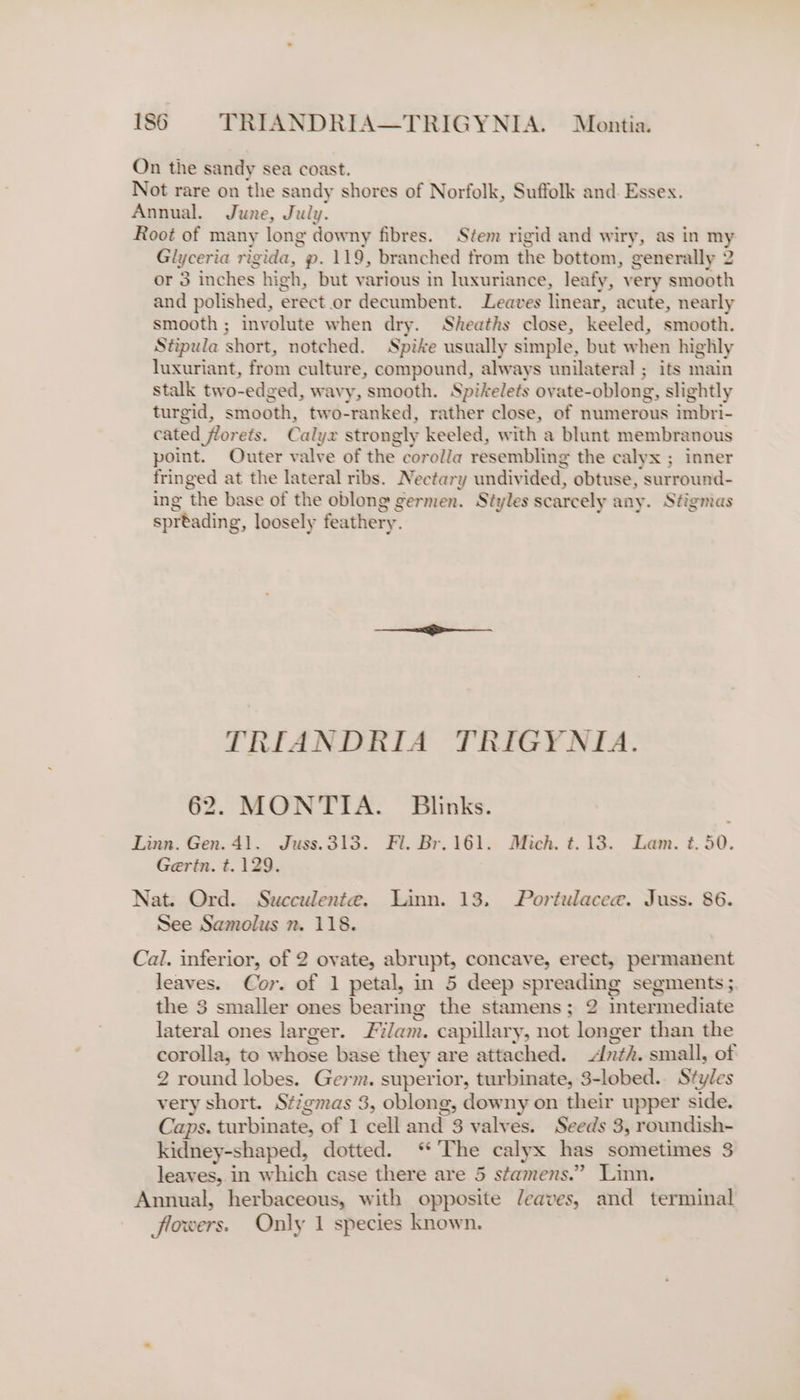 On the sandy sea coast. Not rare on the sandy shores of Norfolk, Suffolk and. Essex. Annual. June, July. Root of many long downy fibres. Stem rigid and wiry, as in my Glyceria rigida, p. 119, branched from the bottom, generally 2 or 3 inches high, but various in luxuriance, leafy, very smooth and polished, erect or decumbent. Leaves linear, acute, nearly smooth ; involute when dry. Sheaths close, keeled, smooth. Séipula short, notched. Spike usually simple, but when highly luxuriant, from culture, compound, always unilateral ; its main stalk two-edged, wavy, smooth. Spikelets ovate-oblong, slightly turgid, smooth, two-ranked, rather close, of numerous imbri- cated florets. Calyx strongly keeled, with a blunt membranous point. Outer valve of the corolla resembling the calyx ; inner fringed at the lateral ribs. Nectary undivided, obtuse, surround- ing the base of the oblong germen. Styles scarcely any. Séigmas spreading, loosely feathery. TRIANDRIA TRIGYNIA. 62. MONTIA. Blinks. Linn. Gen. 41. Juss.313. Fl. Br. 161. Mich. ¢t. 13. Lam. ¢. 50. Gerin. t. 129. Nat. Ord. Succulente. Linn. 13. Portulacee. Juss. 86. See Samolus nm. 118. Cal. inferior, of 2 ovate, abrupt, concave, erect, permanent leaves. Cor. of 1 petal, in 5 deep spreading segments ; the 3 smaller ones bearing the stamens; 2 intermediate lateral ones larger. Flam. capillary, not longer than the corolla, to whose base they are attached. Anth. small, of 2 round lobes. Germ. superior, turbinate, 3-lobed.. Styles very short. Stigmas 3, oblong, downy on their upper side. Caps. turbinate, of 1 cell and 3 valves. Seeds 3, roundish- kidney-shaped, dotted. “The calyx has sometimes 3 leaves, in which case there are 5 stamens.” Linn. Annual, herbaceous, with opposite Jeaves, and terminal flowers. Only 1 species known.
