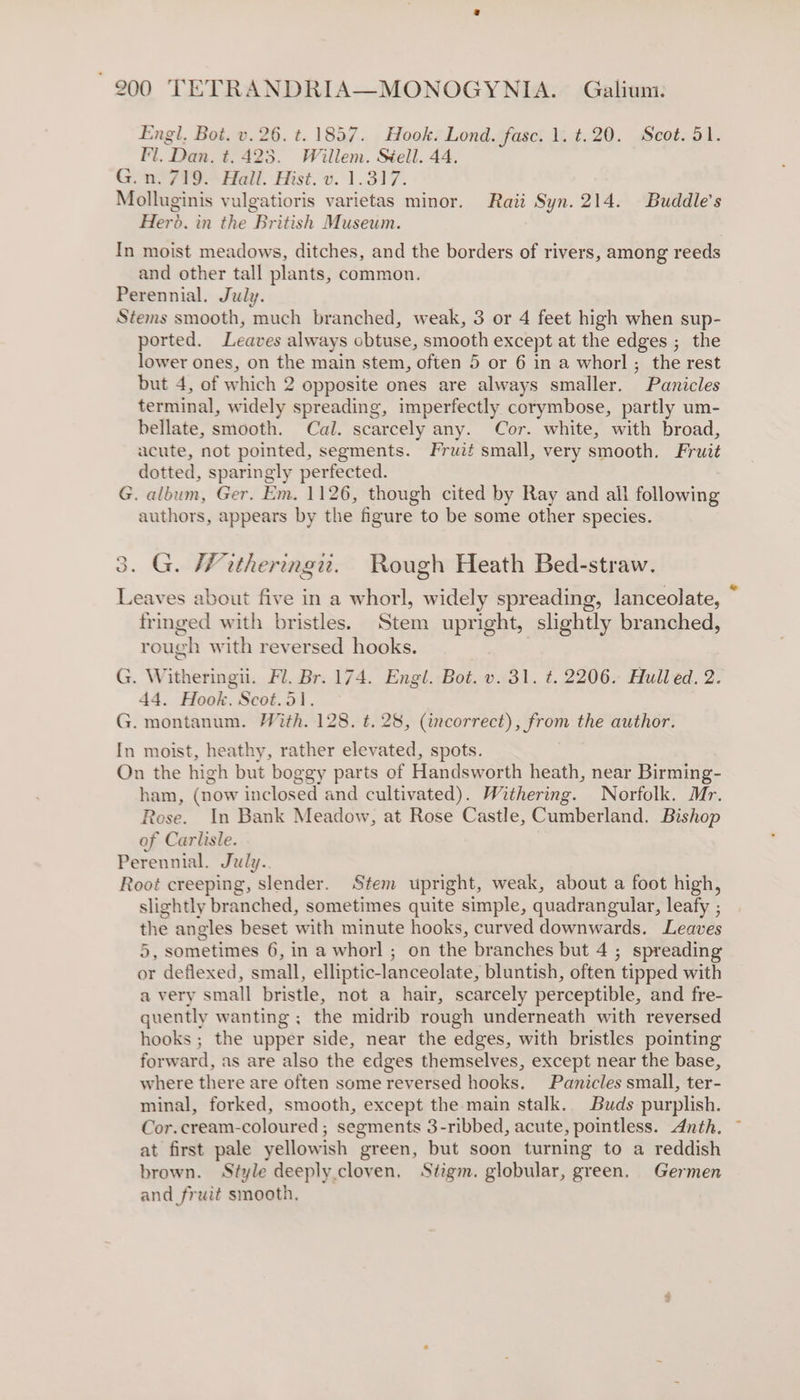 Engl. Bot. v.26. t. 1857. Hook. Lond. fasc. 1. t.20. Scot. 51. Fl. Dan. t. 423. Willem. Stell. 44. G.n. 719. Hall. Hist. v. 1.317. Molluginis vulgatioris varietas minor. Raii Syn. 214. Buddle’s Herd. in the British Museum. In moist meadows, ditches, and the borders of rivers, among reeds and other tall plants, common. Perennial. July. Stems smooth, much branched, weak, 3 or 4 feet high when sup- ported. Leaves always obtuse, smooth except at the edges ; the lower ones, on the main stem, often 5 or 6 in a whorl ; the rest but 4, of which 2 opposite ones are always smaller. Panicles terminal, widely spreading, imperfectly corymbose, partly um- bellate, smooth. Cal. scarcely any. Cor. white, with broad, acute, not pointed, segments. Fruit small, very smooth. Fruit dotted, sparingly perfected. G. album, Ger. Em. 1126, though cited by Ray and all following authors, appears by the figure to be some other species. 3. G. Witheringiz. Rough Heath Bed-straw. . . . 3 ee Leaves about five in a whorl, widely spreading, lanceolate, fringed with bristles. Stem upright, slightly branched, rough with reversed hooks. G. Witheringii. Fl. Br. 174. Engl. Bot. v. 31. ¢. 2206. Hulled. 2. 44. Hook. Scot.51. G. montanum. With. 128. t. 28, (incorrect), from the author. In moist, heathy, rather elevated, spots. On the high but boggy parts of Handsworth heath, near Birming- ham, (now inclosed and cultivated). Withering. Norfolk. Mr. Rose. In Bank Meadow, at Rose Castle, Cumberland. Bishop of Carlisle. Perennial. July. Root creeping, slender. Stem upright, weak, about a foot high, slightly branched, sometimes quite simple, quadrangular, leafy ; the angles beset with minute hooks, curved downwards. Leaves 5, sometimes 6, in a whorl ; on the branches but 4 ; spreading or deflexed, small, elliptic-lanceolate, bluntish, often tipped with a very small bristle, not a hair, scarcely perceptible, and fre- quently wanting ; the midrib rough underneath with reversed hooks ; the upper side, near the edges, with bristles pointing forward, as are also the edges themselves, except near the base, where there are often some reversed hooks. Panicles small, ter- minal, forked, smooth, except the main stalk. Buds purplish. Cor.cream-coloured ; segments 3-ribbed, acute, pointless. Anth. at first pale yellowish green, but soon turning to a reddish brown. Style deeply.cloven. Stigm. globular, green. Germen and fruit smooth,