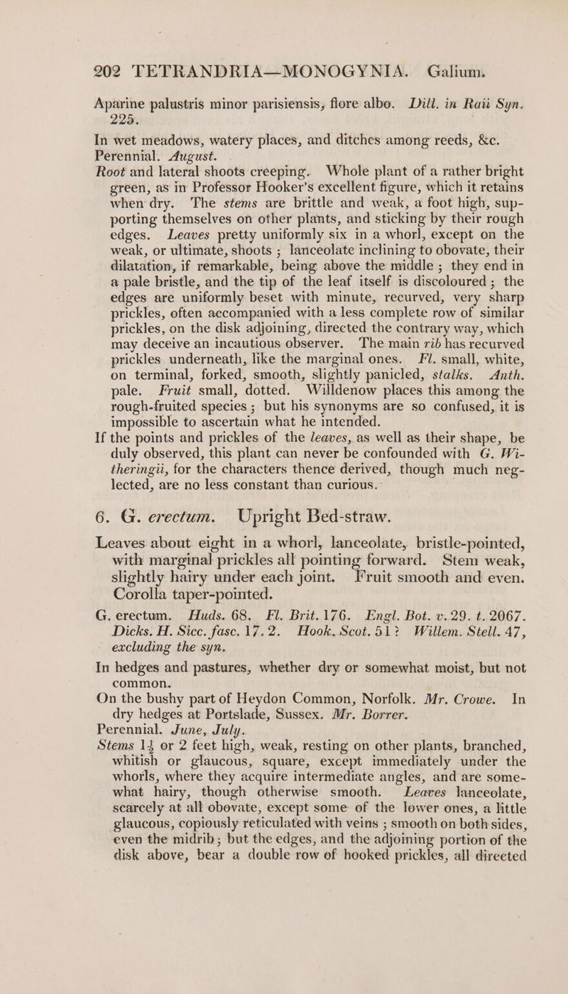 Aparine palustris minor parisiensis; flore albo. Dull. in Raii Syn. 225. | In wet meadows, watery places, and ditches among reeds, &amp;c. Perennial. August. Root and lateral shoots creeping. Whole plant of a rather bright green, as in Professor Hooker’s excellent figure, which it retains when dry. The stems are brittle and weak, a foot high, sup- porting themselves on other plants, and sticking by their rough edges. Leaves pretty uniformly six in a whorl, except on the weak, or ultimate, shoots ; lanceolate inclining to obovate, their dilatation, if remarkable, bemg above the middle ; they end in a pale bristle, and the tip of the leaf itself is discoloured; the edges are uniformly beset with minute, recurved, very sharp prickles, often accompanied with a less complete row of similar prickles, on the disk adjoining, directed the contrary way, which may deceive an incautious observer. The main rib has recurved prickles underneath, like the marginal ones. Fl. small, white, on terminal, forked, smooth, slightly panicled, stalks. Anth. pale. Fruit small, dotted. Willdenow places this among the rough-fruited species ; but his synonyms are so confused, it is impossible to ascertain what he intended. If the points and prickles of the leaves, as well as their shape, be duly observed, this plant can never be confounded with G. Wi- theringii, for the characters thence derived, though much neg- lected, are no less constant than curious. | 6. G. erectum. Upright Bed-straw. Leaves about eight in a whorl, lanceolate, bristle-pointed, with marginal prickles all pointing forward. Stem weak, slightly hairy under each joint. Fruit smooth and even. Corolla taper-poited. G. erectum. Huds. 68. Fl. Brit.176. Engl. Bot. v.29. t. 2067. Dicks. H. Sicc. fasc. 17.2. Hook. Scot.51? Willem. Stell. 47, - excluding the syn. In hedges and pastures, whether dry or somewhat moist, but not common. On the bushy part of Heydon Common, Norfolk. Mr. Crowe. In dry hedges at Portslade, Sussex. Mr. Borrer. Perennial. June, July. Stems 143 or 2 feet high, weak, resting on other plants, branched, whitish or glaucous, square, except immediately under the whorls, where they acquire intermediate angles, and are some- what hairy, though otherwise smooth. Leaves lanceolate, scarcely at all obovate, except some of the lower ones, a little glaucous, copiously reticulated with veins ; smooth on both sides, even the midrib; but the edges, and the adjoiming portion of the disk above, bear a double row of hooked prickles, all directed
