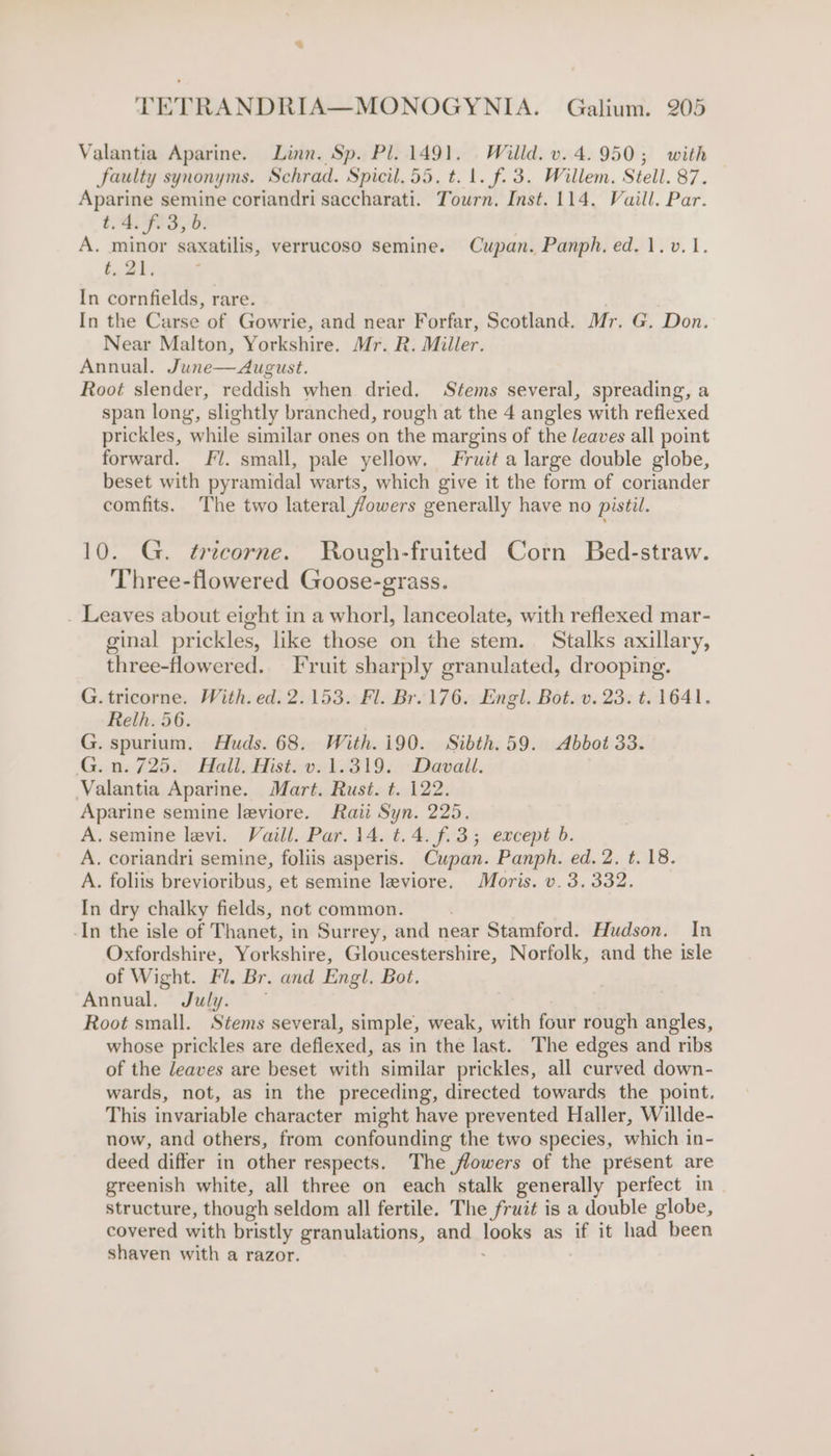 = TETRANDRIA—MONOGYNIA. Galium. 205 Valantia Aparine. Linn. Sp. Pl. 1491. Willd. v. 4.950; with faulty synonyms. Schrad. Spicil. 55. t. 1. f. 3. Willem. Stell. 87. Aparine semine coriandri saccharati. Tourn. Inst. 114. Vaill. Par. t.4. F639, 6. . A. minor saxatilis, verrucoso semine. Cupan. Panph. ed. 1. v.1. t. 21, In cornfields, rare. In the Carse of Gowrie, and near Forfar, Scotland. Mr. G. Don. Near Malton, Yorkshire. Mr. R. Miller. Annual. June— August. Root slender, reddish when dried. Stems several, spreading, a span long, slightly branched, rough at the 4 angles with reflexed prickles, while similar ones on the margins of the leaves all point forward. Fl. small, pale yellow. Fruit a large double globe, beset with pyramidal warts, which give it the form of coriander comfits. The two lateral fowers generally have no pistil. 10. G. tricorne. Rough-fruited Corn Bed-straw. Three-flowered Goose-grass. . Leaves about eight in a whorl, lanceolate, with reflexed mar- ginal prickles, like those on the stem. Stalks axillary, three-flowered.. Fruit sharply granulated, drooping. G. tricorne. With. ed. 2.153. Fl. Br. 176. Engl. Bot. v. 23. t. 1641. Relh. 56. G. spurium, Huds. 68. With.i90. Sibth.59. Abbot 33. G.n. 725. Hall. Hist. v. 1.319. -Davail. Valantia Aparine. Mart. Rust. t. 122. Aparine semine leviore. Raii Syn. 225. A. semine levi. Vaill. Par. 14. t.4.f.3; except b. A. coriandri semine, foliis asperis. Cupan. Panph. ed. 2. t. 18. A. foliis brevioribus, et semine leviore. Moris. v. 3. 332. In dry chalky fields, not common. -In the isle of Thanet, in Surrey, and near Stamford. Hudson. In Oxfordshire, Yorkshire, Gloucestershire, Norfolk, and the isle of Wight. Fl. Br. and Engl. Bot. Annual, July. — ) Root small. Stems several, simple, weak, with four rough angles, whose prickles are deflexed, as in the last. The edges and ribs of the leaves are beset with similar prickles, all curved down- wards, not, as in the preceding, directed towards the point. This invariable character might have prevented Haller, Willde- now, and others, from confounding the two species, which in- deed differ in other respects. The flowers of the présent are greenish white, all three on each stalk generally perfect in. structure, though seldom all fertile. The fruit is a double globe, covered with bristly granulations, and looks as if it had been shaven with a razor. ;