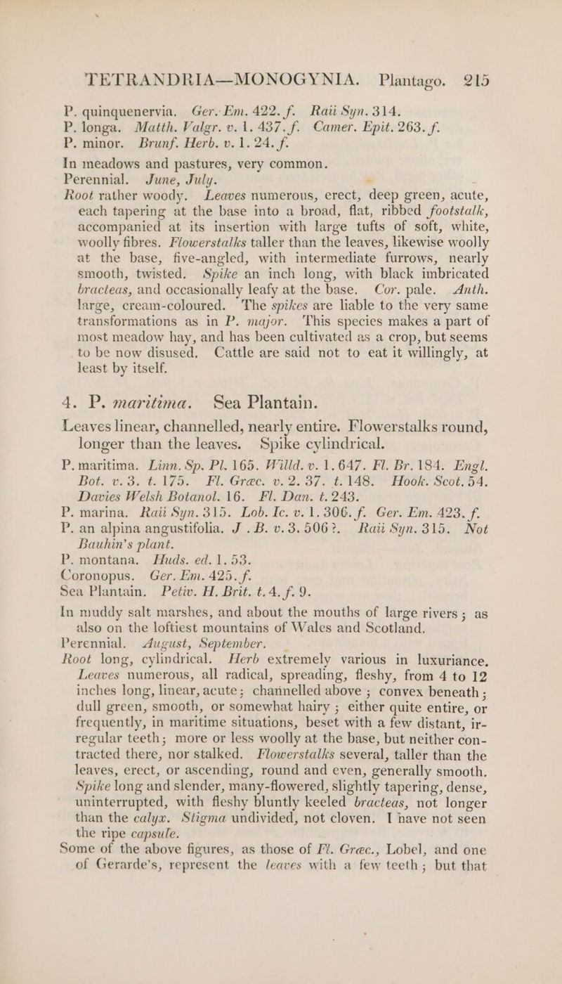 P. quinquenervia. Ger. Em. 422. f. Raii Syn. 314. P. longa. Matth. Valgr. v. 1.437. f. Camer. Epit. 263. f. P. minor. Brunf. Herb. v. 1.24. f- In meadows and pastures, very common. Perennial. June, July. . Root rather woody. Leaves numerous, erect, deep green, acute, each tapering at the base into a broad, flat, ribbed footstalk, accompanied at its insertion with large tufts of soft, white, woolly fibres. Flowerstalks taller than the leaves, likewise woolly at the base, five-angled, with intermediate furrows, nearly smooth, twisted. Spike an inch long, with black imbricated bracteas, and occasionally leafy at the base. Cor. pale. Anth. large, cream-coloured. The spikes are liable to the very same transformations as in P. major. ‘This species makes a part of most meadow hay, and has been cultivated as a crop, but seems to be now disused. Cattle are said not to eat it willingly, at least by itself. 4. P. marituma. Sea Plantain. Leaves linear, channelled, nearly entire. Flowerstalks round, longer than the leaves. Spike cylindrical. P. maritima. Linn. Sp. Pl. 165. Willd. v. 1.647. Fl. Br. 184. Engl. Bot. wed. te V7o. © FA Graes 802037 * t VARS Hoo Scot, 54. Davies Welsh Botanol. 16. Fl. Dan. t. 243. P. marina. Rati Syn. 315. Lob. Ic. v..1. 306. f. Ger. Em. 423. f. P. an alpina angustifolia, J.B. v.3.506?. Raw Syn. 315. Not Bauhin’s plant. P. montana. Huds. ed. 1.53. Coronopus. Ger. Em. 425. f. Sea Plantain. Petiv. H. Brit. t.4. f. 9. In muddy salt marshes, and about the mouths of large rivers ; as also on the loftiest mountains of Wales and Scotland. Perennial. August, September. | Root long, cylindrical. Herb extremely various in luxuriance, Leaves numerous, all radical, spreading, fleshy, from 4 to 12 inches long, linear, acute; charinelled above ; convex beneath ; dull green, smooth, or somewhat hairy ; either quite entire, or frequently, in maritime situations, beset with a few distant, ir- regular teeth; more or less woolly at the base, but neither con- tracted there, nor stalked. Flowerstalks several, taller than the leaves, erect, or ascending, round and even, generally smooth. Spike long and slender, many-flowered, slightly tapering, dense, uninterrupted, with fleshy bluntly keeled bracteas, not longer than the calyx. Stigma undivided, not cloven. I have not seen the ripe capsule. Some of the above figures, as those of Fi. Grec., Lobel, and one of Gerarde’s, represent the /eaves with a few teeth; but that