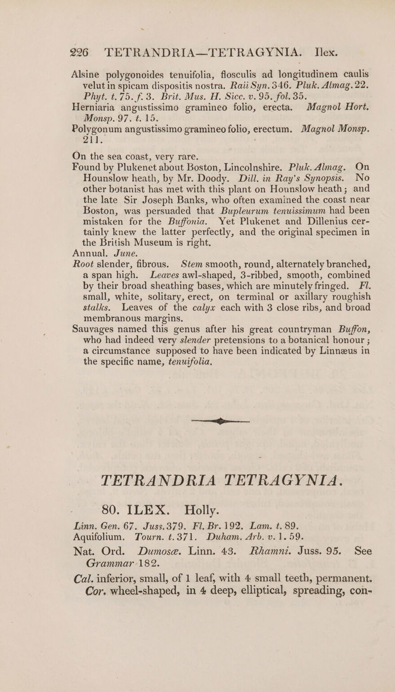 ~ 296 TETRANDRIA—TETRAGYNIA. Ilex. Alsine polygonoides tenuifolia, flosculis ad longitudinem caulis velut in spicam dispositis nostra. Raii Syn. 346. Pluk, Almag. 22. Phyt. t.75. f.3. Brit. Mus. H. Sicc. v. 95. fol. 35. Herniaria angustissimo gramineo folio, erecta. Magnol Hort. Monsp..97. t. 15. Polygonum angustissimo gramineo folio, erectum. Magnol Monsp. 211. On the sea coast, very rare. Found by Plukenet about Boston, Lincolnshire. Pluk. Almag. On Hounslow heath, by Mr. Doody. Dill. in Ray’s Synopsis. No other botanist has met with this plant on Hounslow heath; and the late Sir Joseph Banks, who often examined the coast near Boston, was persuaded that Bupleurum tenuissimum had been mistaken for the Buffonia. Yet Plukenet and Dillenius cer- tainly knew the latter perfectly, and the original specimen in the British Museum is right. Annual. June. Root slender, fibrous. Stem smooth, round, alternately branched, aspan high. Leaves awl-shaped, 3-ribbed, smooth, combined by their broad sheathing bases, which are minutely fringed. Fl. small, white, solitary, erect, on terminal or axillary roughish stalks. Leaves of the calyx each with 3 close ribs, and broad membranous margins. Sauvages named this genus after his great countryman Buffon, who had indeed very slender pretensions to a botanical honour ; a circumstance supposed to have been indicated by Linneus in the specific name, tenuifolia. 7 TETRANDRIA TETRAGYNIA. 80. ILEX. Hblly. Linn, Gen. 67. Juss.379. Fl, Br. 192. Lam. t, 89. Aquifolium. Tourn. t.371. Duham. Arb. v.1. 59. Nat. Ord. Dumose. Linn. 43. Rhamni. Juss. 95. See Grammar 182. Cal. inferior, small, of 1 leaf, with 4 small teeth, permanent. Cor. wheel-shaped, in 4 deep, elliptical, spreading, con-