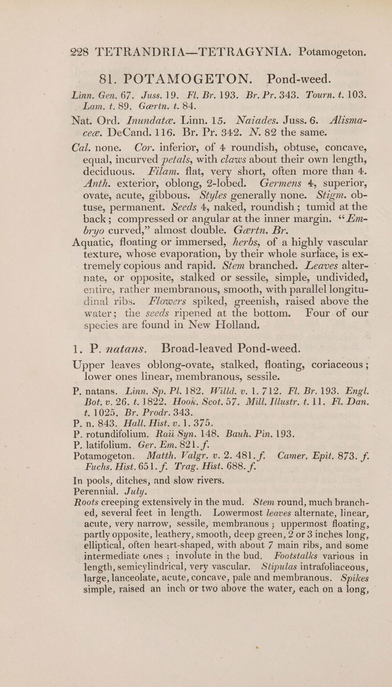 81. POTAMOGETON. Pond-weed. Linn. Gen. 67. Juss.19. Fl. Br. 193. Br. Pr. 343. Tourn. t. 103. Lam. t. 89. Gertn. t. 84. Nat. Ord. Inundate. Linn. 15. Nazades. Juss.6. Alisma- cee. DeCand. 116. Br. Pr. 342. N. 82 the same. Cal. none. Cor. inferior, of 4 roundish, obtuse, concave, equal, incurved petals, with claws about their own length, deciduous. lam. flat, very short, often more than 4. Anth. exterior, oblong, 2-lobed. Germens 4, superior, ovate, acute, gibbous. Styles generally none. Stigm. ob- tuse, permanent. Seeds 4, naked, roundish; tumid at the back; compressed or angular at the inner margin. * Zim- bryo curved,” almost double. Gertn. Br. Aquatic, floating or immersed, herbs, of a highly vascular texture, whose evaporation, by their whole surface, is ex- tremely copious and rapid. Stem branched. Leaves alter- — nate, or opposite, stalked or sessile, simple, undivided, entire, rather membranous, smooth, with parallel longitu- dinal ribs. lowers spiked, greenish, raised above the water; the seeds ripened at the bottom. Four of our species are found in New Holland. 1. P. natans. Broad-leaved Pond-weed. Upper leaves oblong-ovate, stalked, floating, coriaceous ; lower ones linear, membranous, sessile. P. natans.. Linn. Sp. Pl. 182. Willd. v. 1.712. Fl. Br. 193. Engl. Bot, v. 26. t. 1822. Hook. Scot.57. Mill, Illustr. t.11, Fl. Dan. t. 1025. Br. Prodr. 343. P. n. 843. Hall. Hist. v.1. 375. P. rotundifolium. Raii Syn. 148. Bauh. Pin. 193. P, latifolium. Ger. Em. 821. f. Potamogeton. Matth. Valgr. v. 2.481. f. Camer, Epit. 873. f. Fuchs. Hist.651. f. Trag. Hist. 688. f. In pools, ditches, and slow rivers. Perennial. July. Roots creeping extensively in the mud. Stem round, much branch- ed, several feet in length. Lowermost leaves alternate, linear, acute, very narrow, sessile, membranous ; uppermost floating, partly opposite, leathery, smooth, deep green, 2 or 3 inches long, elliptical, often heart-shaped, with about 7 main ribs, and some intermediate ones ; involute inthe bud. Footstalks various in length, semicylindrical, very vascular. Stipulas intrafoliaceous, large, lanceolate, acute, concave, pale and membranous. Spikes simple, raised an inch or two above the water, each on a long,