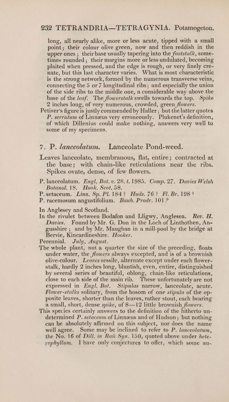 long, all nearly alike, more or less acute, tipped with a small point ; their colour olive green, now and then reddish in the upper ones ; their base usually tapering into the footstalk, some- times rounded ; their margins more or less undulated, becoming plaited when pressed, and the edge is rough, or very finely cre- nate, but this last character varies. What is most characteristic is the strong network, formed by the numerous transverse veins, connecting the 5 or 7 longitudinal ribs; and especially the union of the side ribs to the middle one, a considerable way above the base of the leaf. The flowerstalk swells towards the top. Spike 2 inches long, of very numerous, crowded, green flowers. Petiver’s figure is justly commended by Haller; but the latter quotes P. serratum of Linneus very erroneously. Plukenet’s definition, of which Dillenius could make nothing, answers very well ta some of my specimens. 7. P. lanceolatum. Lanceolate Pond-weed. Leaves lanceolate, membranous, flat, entire; contracted at the base; with chain-like reticulations near the ribs. Spikes ovate, dense, of few flowers. P. lanceolatum. Engl, Bot. v. 28.¢,1985. Comp, 27. Davies Welsh Botanol. 18. Hook. Scot, 58. P.setaceum. Linn. Sp. Pl. 184? Huds. 76? Fl. Br. 198? P. racemosum angustifolium. Bauh. Prodr. 101 ? In Anglesey and Scotland. In the rivulet between Bodafon and Lligwy, Anglesea. Rev. H. Davies. Found by Mr. G. Don in the Loch of Linthothen, An- gusshire ; and by Mr. Maughan in a mill-pool by the bridge at Bervie, Kincardineshire. Hooker. Perennial. July, August. The whole plant, not a quarter the size of the preceding, floats under water, the flowers always excepted, and is of a brownish olive-colour. Leaves sessile, alternate except under each flower- stalk, hardly 2 inches long, bluntish, even, entire, distinguished by several series of beautiful, oblong, chain-like reticulations, close to each side of the main rid. ‘These unfortunately are not expressed in Engl, Bot,’ Stipulas narrow, lanceolate, acute. Flower-stalks solitary, from the bosom of one stipula of the op- posite leaves, shorter than the leaves, rather stout, each bearing a small, short, dense spike, of 8—12 little brownish flowers. This species certainly answers to the definition of the hitherto un- determined P. setaceum of Linneus and of Hudson; but nothing can be absolutely affirmed on this subject, nor does the name well agree. Some may be inclined to refer to P. lanceolatum, the No. 16 of Dill. in Raii Syn. 150, quoted above under hete- rophyllum. Ihave only conjectures to offer, which some au-