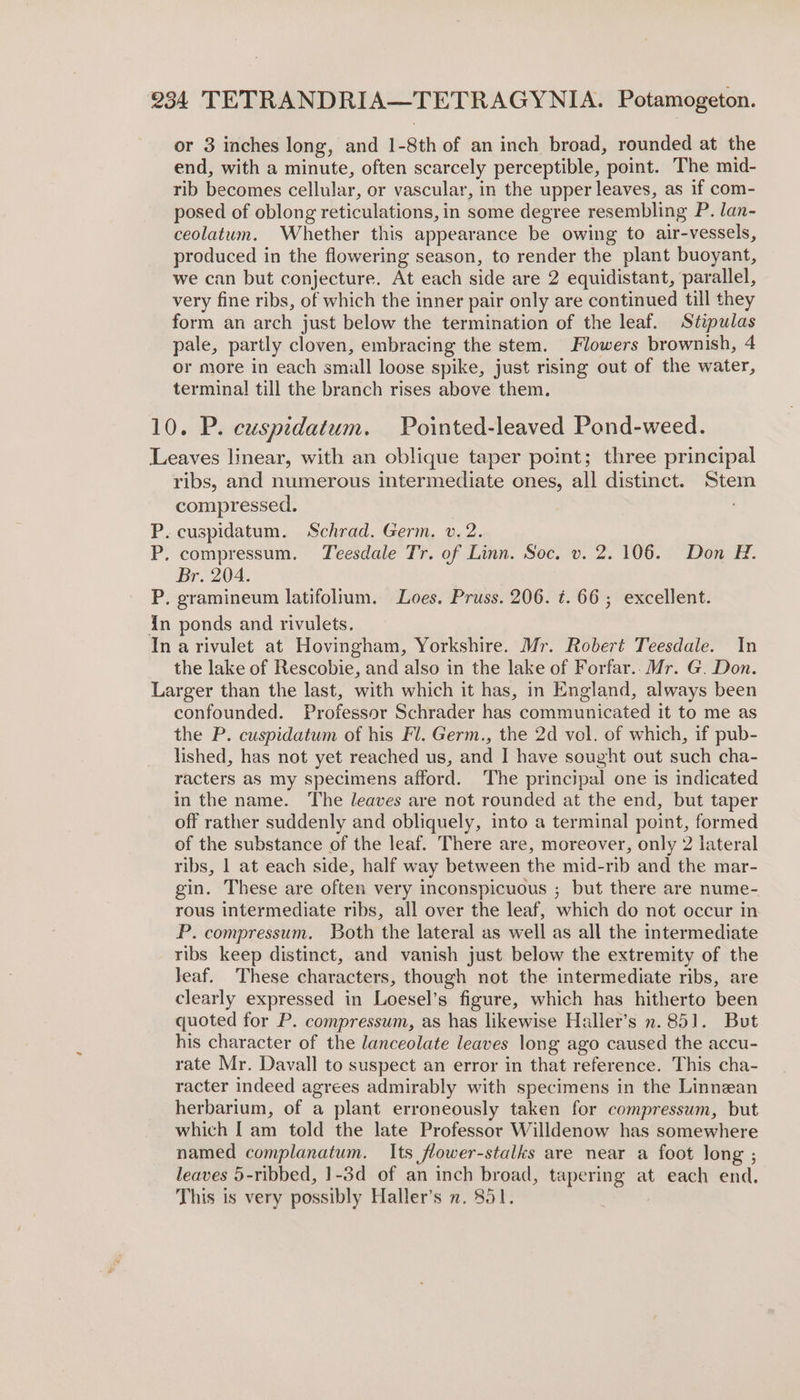 or 3 inches long, and 1-8th of an inch broad, rounded at the end, with a minute, often scarcely perceptible, point. The mid- rib becomes cellular, or vascular, in the upper leaves, as if com- posed of oblong reticulations, in some degree resembling P. lan- ceolatum. Whether this appearance be owing to air-vessels, produced in the flowering season, to render the plant buoyant, we can but conjecture. At each side are 2 equidistant, parallel, very fine ribs, of which the inner pair only are continued till they form an arch just below the termination of the leaf. Stipulas pale, partly cloven, embracing the stem. Flowers brownish, 4 or more in each small loose spike, just rising out of the water, terminal till the branch rises above them. 10. P. cuspidatum. Pointed-leaved Pond-weed. Leaves linear, with an oblique taper point; three principal ribs, and numerous intermediate ones, all distinct. Stem compressed. P. cuspidatum. Schrad. Germ. v. 2. P, compressum. Teesdale Tr. of Linn. Soc. v. 2.106. Don H. Br. 204. P. gramineum latifolium. Loes. Pruss. 206. ¢. 66; excellent. In ponds and rivulets. In arivulet at Hovingham, Yorkshire. Mr. Robert Teesdale. In the lake of Rescobie, and also in the lake of Forfar.. Mr. G. Don. Larger than the last, with which it has, in England, always been confounded. Professor Schrader has communicated it to me as the P. cuspidatum of his Fl. Germ., the 2d vol. of which, if pub- lished, has not yet reached us, and I have sought out such cha- racters as my specimens afford. The principal one is indicated in the name. The leaves are not rounded at the end, but taper off rather suddenly and obliquely, into a terminal point, formed of the substance of the leaf. There are, moreover, only 2 lateral ribs, 1 at each side, half way between the mid-rib and the mar- gin. These are often very inconspicuous ; but there are nume- rous intermediate ribs, all over the leaf, which do not occur in P. compressum. Both the lateral as well as all the intermediate ribs keep distinct, and vanish just below the extremity of the leaf. These characters, though not the intermediate ribs, are clearly expressed in Loesel’s figure, which has hitherto been quoted for P. compressum, as has likewise Haller’s n. 851. But his character of the lanceolate leaves long ago caused the accu- rate Mr. Davall to suspect an error in that reference. This cha- racter indeed agrees admirably with specimens in the Linnean herbarium, of a plant erroneously taken for compressum, but which I am told the late Professor Willdenow has somewhere named complanatum. Its flower-stalks are near a foot long ; leaves 5-ribbed, 1-3d of an inch broad, tapering at each end. This is very possibly Haller’s n. 851.