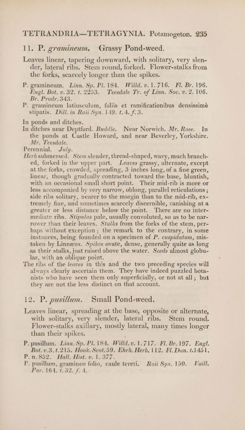 11. P. gramineum. ‘Grassy Pond-weed. Leaves linear, tapering downward, with solitary, very slen- der, lateral ribs. Stem round, eed: Flower-stalks from the forks, scar cely longer than the spikes. P. gramineum. Linn. Sp. Pl. 184. Willd. v.1.716. Fl. Br. 196. Engl. Bot. v. 32. t. 2253. Teesdale Tr. of Linn. Soc. v. 2. 106. Br. Prodr. 343. P. gramineum latiusculum, foliis et ramificationibus densissimé stipatis. Dill. in Raii Syn. 149. t.4. f.3. In ponds and ditches. In ditches near Deptford. Buddle. Near Norwich. Mr. Rose. In the ponds at Castle Howard, and near Beverley, Yorkshire. Mr. Teesdale. Perennial. July. Herbsubmersed. Stem slender, thread-shaped, wavy, much branch- ed, forked in the upper part. Leaves grassy, alternate, except at the forks, crowded, spreading, 3 inches long, of a fine green, linear, though gradually contracted toward the base, bluntish, with an occasional small short point. Their mid-rib js more or less accompanied by very narrow, oblong, parallel reticulations ; side ribs solitary, nearer to the margin than to the mid-rib, ex- tremely fine, and sometimes scarcely discernible, vanishing ata greater or less distance below the point. There are no inter- mediate ribs. Stipulas pale, usually convoluted, so as to be nar- rower than their leaves. Stalks from the forks of the stem, per- haps without exception ; the remark to the contrary, in some instances, being founded on a specimen of P. cuspidatum, mis- taken by Linneus. Spikes ovate, dense, generally quite as long as their stalks, just raised above the water. Seeds almost globu- lar, with an oblique point. The ribs of the leaves in this and the two preceding species will always clearly ascertain them. They have indeed puzzled bota- nists who have seen them only superficially, or not at all; but they are not the less distinct on that account. 12. P. pusillum. Small Pond-weed. Leaves linear, spreading at the base, opposite or alternate, with solitary, very slender, lateral ribs. Stem round. Flower-stalks axillary, mostly lateral, many times longer than their spikes. P. pusillum. Linn. Sp. Pl, 184. Willa. vw. 1.717. Fl. Br.197. Engl. Bot. v.3.t.215. Hook. Scot.59. Ehrh. Herb. 112. Fl. Dan. t. 1451, P.n.852. Hall. Hist.v. 1.377. P. pusillum, gramineo folio, caule tereti. Raii Syn, 150. Vail. Par. 164, t.32. f. 4, - ;