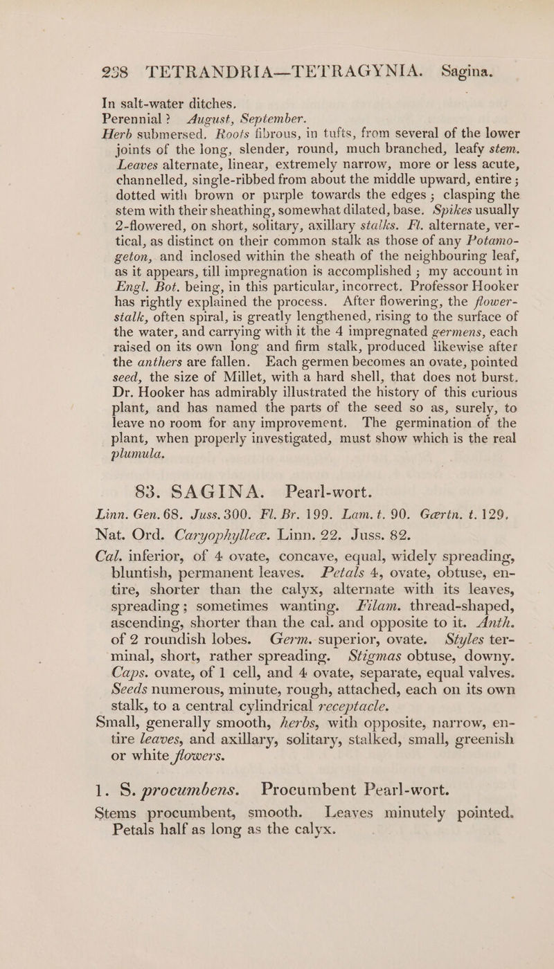 In salt-water ditches. Perennial? August, September. Herb submersed. Roots fibrous, in tufts, from several of the lower joints of the long, slender, round, much branched, leafy stem. Leaves alternate, linear, extremely narrow, more or less acute, channelled, single-ribbed from about the middle upward, entire ; dotted with brown or purple towards the edges ; clasping the stem with their sheathing, somewhat dilated, base. Spikes usually 2-flowered, on short, solitary, axillary stalks. Fl. alternate, ver- tical, as distinct on their common stalk as those of any Potamo- geton, and inclosed within the sheath of the neighbouring leaf, as it appears, till impregnation is accomplished ; my account in Engl. Bot. being, in this particular, incorrect. Professor Hooker has rightly explained the process. After flowering, the flower- stalk, often spiral, is greatly lengthened, rising to the surface of the water, and carrying with it the 4 impregnated germens, each raised on its own long and firm stalk, produced likewise after the anthers are fallen. Each germen becomes an ovate, pointed seed, the size of Millet, with a hard shell, that does not burst. Dr. Hooker has admirably illustrated the history of this curious plant, and has named the parts of the seed so as, surely, to leave no room for any improvement. The germination of the plant, when properly investigated, must show which is the real plumula. 83. SAGINA. Pearl-wort. Linn. Gen.68. Juss.300. Fl. Br. 199. Lam. t. 90. Gaertn. t. 129. Nat. Ord. Caryophyliee. Linn. 22. Juss. 82. Cal. inferior, of 4 ovate, concave, equal, widely spreading, bluntish, permanent leaves. Petals 4, ovate, obtuse, en- tire, shorter than the calyx, alternate with its leaves, spreading; sometimes wanting. lam. thread-shaped, ascending, shorter than the cal. and opposite to it. Anth. of 2 roundish lobes. Germ. superior, ovate. Styles ter- minal, short, rather spreading. Stzgmas obtuse, downy. Caps. ovate, of 1 cell, and 4 ovate, separate, equal valves. Seeds numerous, minute, rough, attached, each on its own stalk, to a central cylindrical receptacle. Small, generally smooth, herbs, with opposite, narrow, en- tire leaves, and axillary, solitary, stalked, small, greenish or white flowers. 1. S. procumbens. Procumbent Pearl-wort. Stems procumbent, smooth. Leayes minutely pointed. Petals half as long as the calyx.