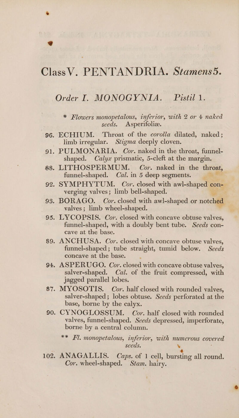 * Flowers monopetalous, inferior, with 2 or 4 naked seeds. Asperitfolize. ECHIUM. Throat of the corolla dilated, naked; limb irregular. Stigma deeply cloven. PULMONARIA. Cor. naked in the throat, funnel- shaped. Calyx prismatic, 5-cleft at the margin. LITHOSPERMUM. Cor. naked in the throat, funnel-shaped. Cal. in 5 deep segments. a” ¢ SYMPHYTUM. Cor. closed with avi shape con verging valves; limb bell-shaped. : BORAGO. Cor. closed with awl-shaped or notched valves; limb wheel-shaped. LYCOPSIS. Cor. closed with concave obtuse valves, funnel-shaped, with a doubly bent tube. Seeds con- cave at the base. ANCHUSA. Cor. closed with concave obtuse valves, funnel-shaped ; tube straight, tumid below. Seeds concave at the base. ASPERUGO. Cor. closed with concave obtuse valves, salver-shaped. Cal. of the fruit compressed, with jagged parallel lobes. MYOSOTIS. Cor. half closed with rounded valves, salver-shaped; lobes obtuse. Seeds perforated at the base, borne by the calyx. CYNOGLOSSUM. Cor. half closed with rounded valves, funnel-shaped. Seeds depressed, imperforate, borne by a central column. ** Fl. monopetalous, inferior, with numerous covered seeds. ¥ Cor. wheel-shaped. Stam. hairy.
