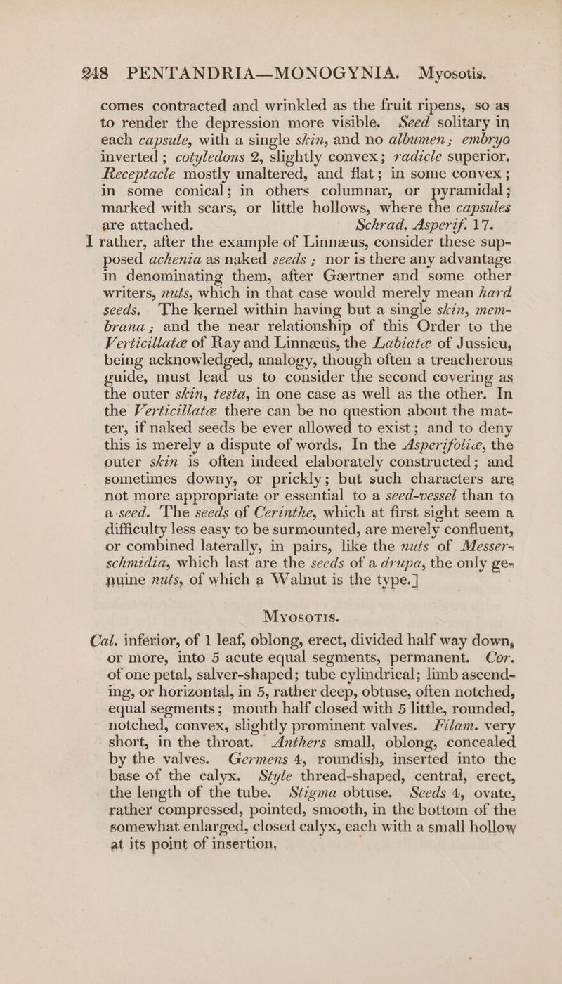 comes contracted and wrinkled as the fruit ripens, so as to render the depression more visible. Seed solitary in each capsule, with a single skin, and no albumen; embrya inverted ; cotyledons 2, slightly convex; radicle superior, Receptacle mostly unaltered, and flat; in some convex ; in some conical; in others columnar, or pyramidal; marked with scars, or little hollows, where the capsules are attached. Schrad. Asperif. 17. I rather, after the example of Linneus, consider these sup- posed achenia as naked seeds ; nor is there any advantage in denominating them, after Geertner and some other writers, nuts, which in that case would merely mean hard seeds, ‘The kernel within having but a single skin, mem- brana ; and the near relationship of this Order to the Verticillate of Ray and Linneeus, the Labiate of Jussieu, being acknowledged, analogy, though often a treacherous guide, must lead us to consider the second covering as the outer skin, testa, in one case as well as the other. In the Verticillate there can be no question about the mat- ter, if naked seeds be ever allowed to exist; and to deny this is merely a dispute of words. In the Asperifolie, the outer skin is often indeed elaborately constructed; and sometimes downy, or prickly; but such characters are not more appropriate or essential to a seed-vessel than to aseed. ‘Whe seeds of Cerinthe, which at first sight seem a difficulty less easy to be surmounted, are merely confluent, or combined laterally, in pairs, like the nuts of Messer- schmidia, which last are the seeds of a drupa, the only ge- nuine nuts, of which a Walnut is the type. ] | Myosortis. Cal. inferior, of 1 leaf, oblong, erect, divided half way down, or more, into 5 acute equal segments, permanent. Cor, of one petal, salver-shaped; tube cylindrical; limb ascend- ing, or horizontal, in 5, rather deep, obtuse, often notched, equal segments; mouth half closed with 5 little, rounded, notched, convex, slightly prominent valves. lam. very short, in the throat. -Anthers small, oblong, concealed by the valves. Germens 4, roundish, inserted into the base of the calyx. Style thread-shaped, central, erect, the length of the tube. Stigma obtuse. Seeds 4, ovate, rather compressed, pointed, smooth, in the bottom of the somewhat enlarged, closed calyx, each with a small hollow at its point of insertion, )