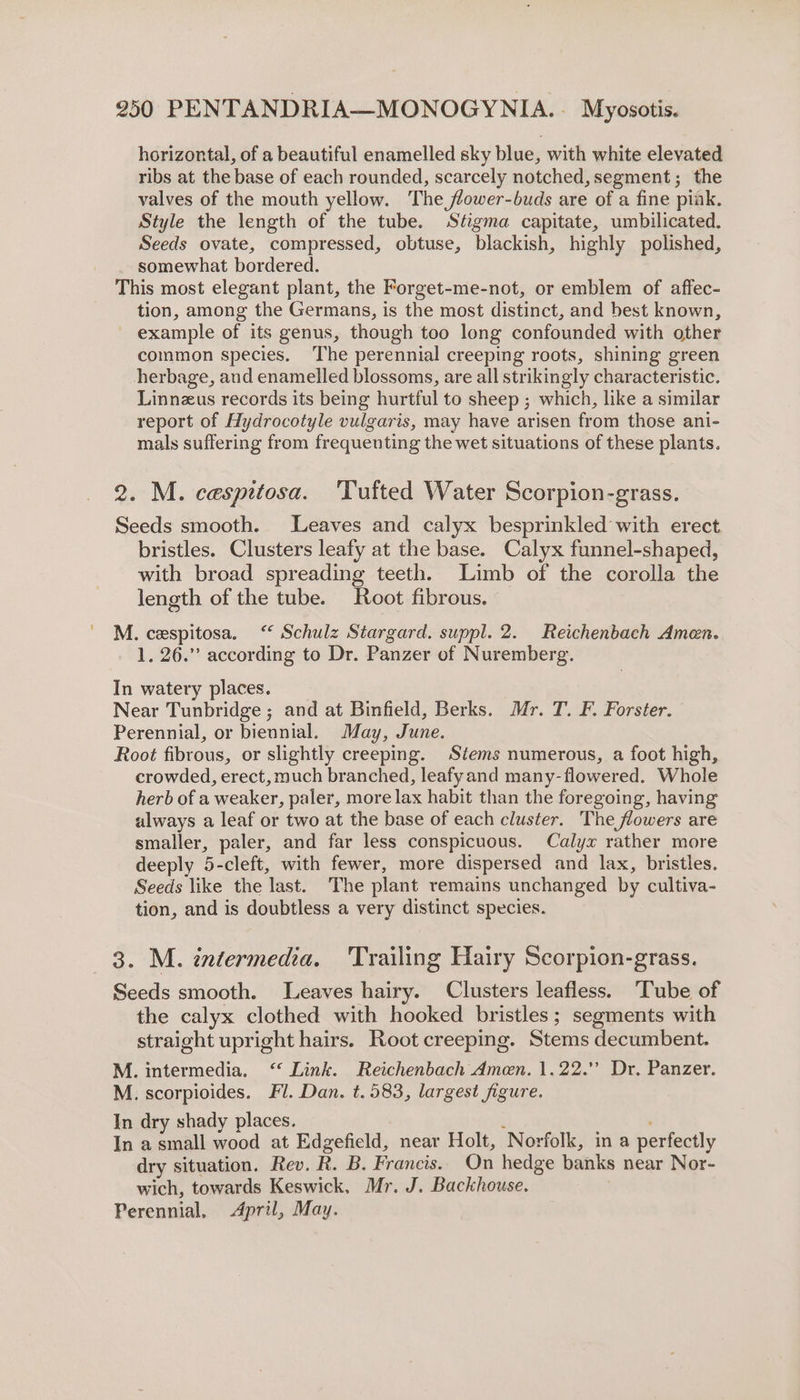 horizontal, of a beautiful enamelled sky blue, with white elevated ribs at the base of each rounded, scarcely notched, segment; the valves of the mouth yellow. The, flower-buds are of a fine pink. Style the length of the tube. Stigma capitate, umbilicated. Seeds ovate, compressed, obtuse, blackish, highly polished, somewhat bordered. This most elegant plant, the Forget-me-not, or emblem of affec- tion, among the Germans, is the most distinct, and best known, example of its genus, though too long confounded with other common species. The perennial creeping roots, shining green herbage, and enamelled blossoms, are all strikingly characteristic. Linnzus records its being hurtful to sheep ; which, like a similar report of Hydrocotyle vulgaris, may have arisen from those ani- mals suffering from frequenting the wet situations of these plants. 2. M. cespitosa. ‘Tufted Water Scorpion-grass. Seeds smooth. Leaves and calyx besprinkled with erect bristles. Clusters leafy at the base. Calyx funnel-shaped, with broad spreading teeth. Limb of the corolla the length of the tube. Root fibrous. M. cespitosa. ‘* Schulz Stargard. suppl. 2. Reichenbach Amen. 1, 26.” according to Dr. Panzer of Nuremberg. In watery places. Near Tunbridge ; and at Binfield, Berks. Mr. T. F. Forster. Perennial, or biennial. May, June. Root fibrous, or slightly creeping. Stems numerous, a foot high, crowded, erect, much branched, leafyand many-flowered. Whole herb of a weaker, paler, more lax habit than the foregoing, having always a leaf or two at the base of each cluster. The flowers are smaller, paler, and far less conspicuous. Calyx rather more deeply 5-cleft, with fewer, more dispersed and lax, bristles. Seeds like the last. The plant remains unchanged by cultiva- tion, and is doubtless a very distinct species. 3. M. tntermedia. ‘Trailing Hairy Scorpion-grass. Seeds smooth. Leaves hairy. Clusters leafless. ‘Tube of the calyx clothed with hooked bristles; segments with straight upright hairs. Root creeping. Stems decumbent. M. intermedia. ‘ Link. Reichenbach Amen. 1.22.’’ Dr. Panzer. M. scorpioides. Fl. Dan. t.583, largest figure. In dry shady places. : ' In asmall wood at Edgefield, near Holt, Norfolk, in a perfectly dry situation. Rev. R. B. Francis. On hedge banks near Nor- wich, towards Keswick. Mr. J. Backhouse. Perennial, April, May.