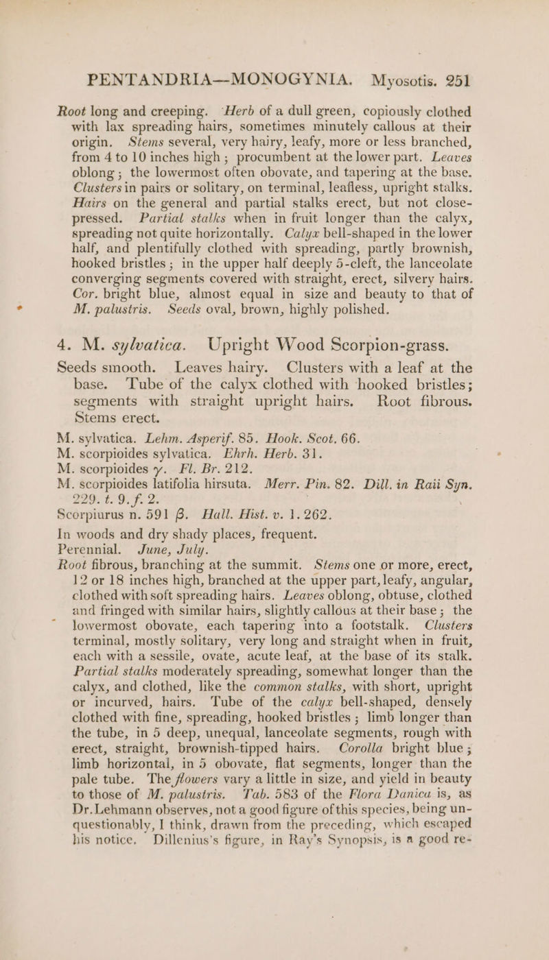 Root long and creeping. ‘Herb of a dull green, copiously clothed with lax spreading hairs, sometimes minutely callous at their origin, Stems several, very hairy, leafy, more or less branched, from 4 to 10 inches high ; procumbent at the lower part. Leaves oblong ; the lowermost often obovate, and tapering at the base. Clusters in pairs or solitary, on terminal, leafless, upright stalks. Hairs on the general and partial stalks erect, but not close- pressed. Partial stalks when in fruit longer than the calyx, spreading not quite horizontally. Calyx bell-shaped in the lower half, and plentifully clothed with spreading, partly brownish, hooked bristles ; in the upper half deeply 5-cleft, the lanceolate converging segments covered with straight, erect, silvery hairs. Cor. bright blue, almost equal in size and beauty to that of M., palustris. Seeds oval, brown, highly polished. 4. M. sylvatica. Upright Wood Scorpion-grass. Seeds smooth. Leaves hairy. Clusters with a leaf at the base. ‘Tube of the calyx clothed with hooked bristles; segments with straight upright hairs. Root fibrous. Stems erect. M. sylvatica. Lehm. Asperif. 85. Hook. Scot. 66. M. scorpioides sylvatica. Ehrh. Herb. 31. M. scorpioides y. Fl. Br. 212. M. scorpioides latifolia hirsuta. Merr. Pin. 82. Dill. in Raii Syn. 229. t. 9. f. 2. | | Scorpiurus n. 591 6. Hall. Hist. v. 1.262. In woods and dry shady places, frequent. Perennial. June, July. Root fibrous, branching at the summit. Stems one or more, erect, 12 or 18 inches high, branched at the upper part, leafy, angular, clothed with soft spreading hairs. Leaves oblong, obtuse, clothed and fringed with similar hairs, slightly callous at their base; the lowermost obovate, each tapering into a footstalk. Clusters terminal, mostly solitary, very long and straight when in fruit, each with a sessile, ovate, acute leaf, at the base of its stalk. Partial stalks moderately spreading, somewhat longer than the calyx, and clothed, like the common stalks, with short, upright or incurved, hairs. Tube of the calyx bell-shaped, densely clothed with fine, spreading, hooked bristles ; limb longer than the tube, in 5 deep, unequal, lanceolate segments, rough with erect, straight, brownish-tipped hairs. Corolla bright blue ; limb horizontal, in 5 obovate, flat segments, longer than the pale tube. The flowers vary a little in size, and yield in beauty to those of M. palustris. Tab. 583 of the Flora Danica is, as Dr. Lehmann observes, not a good figure of this species, being un- questionably, I think, drawn from the preceding, which escaped his notice. Dillenius’s figure, in Ray’s Synopsis, is a good re-