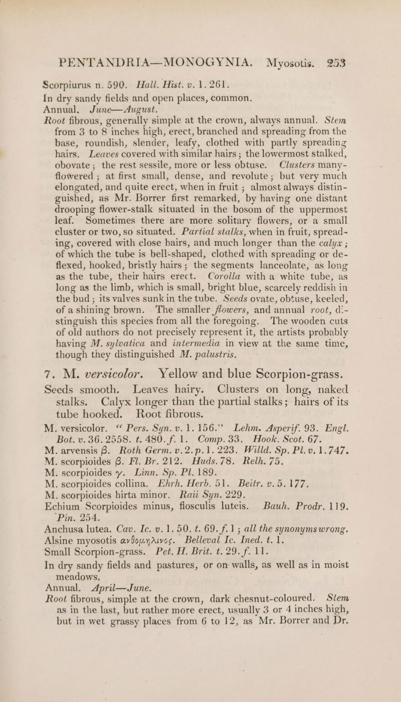 Scorpiurus n. 590. Hall, Hist. v. 1.261. In dry sandy fields and open places, common. Annual. June—August. Root fibrous, generally simple at the crown, always annual. Stem from 3 to 8 inches high, erect, branched and spreading from the base, roundish, slender, leafy, clothed with partly spreading hairs. Leaves covered with similar hairs ; the lowermost stalked, obovate ; the rest sessile, more or less obtuse. Clusters many- flowered ; at first small, dense, and revolute; but very much elongated, and quite erect, when in fruit ; almost always distin- guished, as Mr. Borrer first remarked, by having one distant drooping flower-stalk situated in the bosom of the uppermost leaf. Sometimes there are more solitary flowers, or a small cluster or two, so situated. Partial stalks, when in fruit, spread- ing, covered with close hairs, and much longer than the calyz ; of which the tube is bell-shaped, clothed with spreading or de- flexed, hooked, bristly hairs ; the segments lanceolate, as long as the tube, their hairs erect. Corolla with a white tube, as long as the limb, which is small, bright blue, scarcely reddish in the bud ; its valves sunk in the tube. Seeds ovate, obtuse, keeled, of ashining brown. The smaller flowers, and annual root, d:- stinguish this species from all the foregoing. The wooden cuts of old authors do not precisely represent it, the artists probably having M. sylvatica and intermedia in view at the same time, though they distinguished M. palustris, 7. M. versicolor. Yellow and blue Scorpion-grass. o, naked Seeds smooth. Leaves hairy. Clusters on long, stalks. Calyx longer than the partial stalks; hairs of its tube hooked. Root fibrous. M. versicolor. ‘“ Pers. Syn.v.1.156.” Lehm. Asperif. 93. Engl. Bot. v. 36. 2558. t. 480. f. 1. Comp.33. Hook. Scot. 67. . arvensis 8. Roth Germ.v.2.p.1. 223. Willd. Sp. Pl.v. 1.747. . scorpioides 6. Fl. Br. 212. Huds.78. Relh. 75. . scorploides y. Linn. Sp. Pl. 189. . scorpioides collina. Ehrh. Herb. 51. Beitr. v.5.177. Echium Scorpioides minus, flosculis luteis. Bauh. Prodr. 119. ‘Pin. 254. Anchusa lutea. Cav. Ic. v. 1.50. t. 69. f.1; all the synonyms wrong. Alsine myosotis avfouyAivos. Belleval Ic. Ined. t.1. Small Scorpion-grass. Pet. H. Brit. t. 29. f. 11. In dry sandy fields and pastures, or on walls, as well as in moist meadows. Annual. dpril—June. Root fibrous, simple at the crown, dark chesnut-coloured. Stem as in the last, but rather more erect, usually 3 or 4 inches high, but in wet grassy places from 6 to 12, as Mr. Borrer and Dr. F-4-9-4-