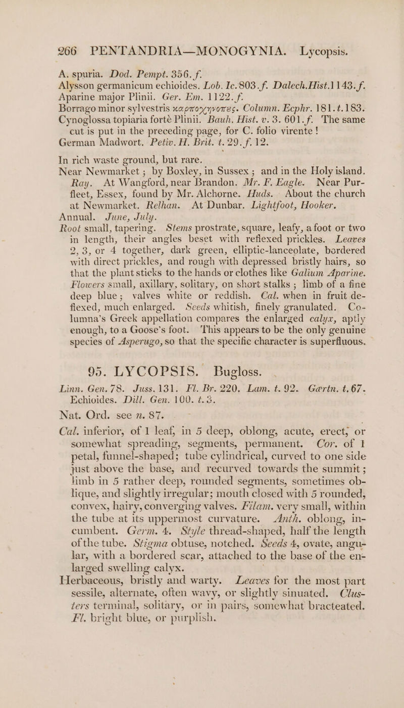 A. spuria. Dod. Pempt. 356. f. Alysson germanicum echioides. Lob. Ic.803.f. Dalech.Hist.1143.f. Aparine major Plinii. Ger. Em. 1122. /f. Borrago minor sylvestris xaproyyvores. Column. Ecphr. 181.t.183. Cynoglossa topiaria forte Plinii. Bauh. Hist. v. 3. 601. f. The same cut is put in the preceding page, for C. folio virente ! German Madwort. Petiv. H. Brit. t.29. f. 12. In rich waste ground, but rare. Near Newmarket ; by Boxley, in Sussex ; and in the Holy island. Ray. At Wangford, near Brandon. Mr. F. Eagle. Near Pur- fleet, Essex, found by Mr. Alchorne. Huds. About the church at Newmarket. Relhan. At Dunbar. Lightfoot, Hooker. Annual. June, July. Root small, tapering. Stems prostrate, square, leafy, a foot or two in length, their angles beset with reflexed prickles. Leaves 2,3, or 4 together, dark green, elliptic-lanceolate, bordered with direct prickles, and rough with depressed bristly hairs, so that the plant sticks to the hands or clothes like Galium Aparine. Flowers small, axillary, solitary, on short stalks ; limb of a fine deep blue; valves white or reddish. Cal. when in fruit de- flexed, much enlarged. Seeds whitish, finely granulated. Co- lumna’s Greek appellation compares the enlarged calyx, aptly enough, to a Goose’s foot. ‘This appears to be the only genuine species of dsperugo, so that the specific character is superfluous. 95. LYCOPSIS. Bugloss. Linn. Gen. 78. Juss.131. Fl. Br. 220. Lam. t.92. Gertn. t.67. Echioides. Dill. Gen. 100. ¢.3. Nat. Ord. see 7. 87. Cal. inferior, of 1 leaf, in 5 deep, oblong, acute, erect, or somewhat spreading, segments, permanent. Cor. of 1 petal, funnel-shaped; tube cylindrical, curved to one side just above the base, and recurved towards the summit ; limb in 5 rather deep, rounded segments, sometimes ob- lique, and slightly irregular; mouth closed with 5 rounded, convex, hairy, converging valves. £7/am. very small, within the tube at its uppermost curvature. 4nth. oblong, in- cumbent. Germ. 4. Style thread-shaped, half the length ofthe tube. Stigma obtuse, notched. Seeds 4, ovate, angu- lar, with a bordered scar, attached to the base of the en- larged swelling calyx. Herbaceous, bristly and warty. Leaves tor the most part sessile, alternate, often wavy, or slightly sinuated. Clus- fers terminal, solitary, or in pairs, somewhat bracteated. Fil. bright blue, or purplish.