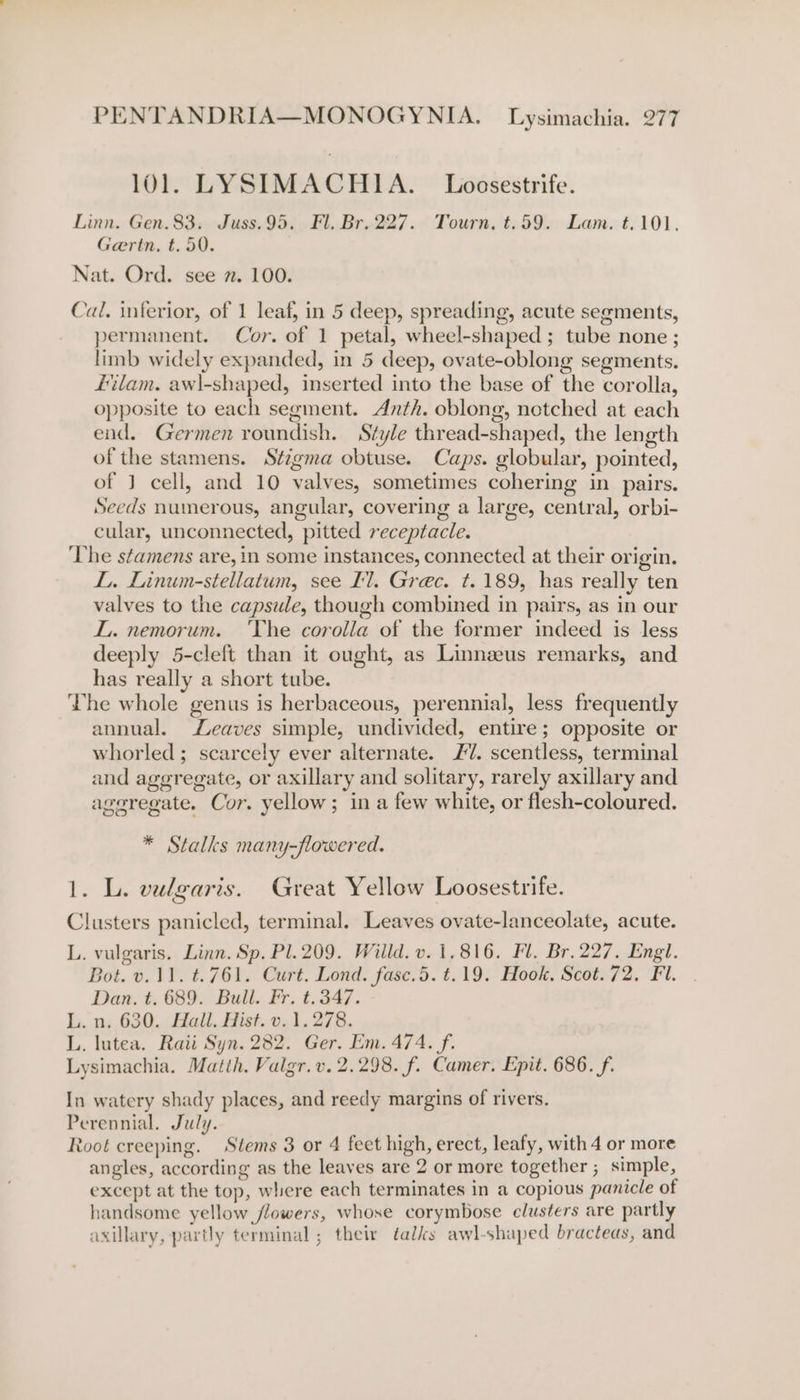 101. LYSIMACHIA. Loosestrife. Linn. Gen. 83; Juss.95. Fl. Br. 227. Tourn. t.59. Lam. t.101. Geertn, t. 50. Nat. Ord. see 2. 100. Cal. inferior, of 1 leaf, in 5 deep, spreading, acute segments, permanent. Cor. of 1 petal, wheel-shaped ; tube none ; limb widely expanded, in 5 deep, ovate-oblong segments. filam. awl-shaped, inserted into the base of the corolla, opposite to each segment. Anth. oblong, notched at each end. Germen roundish. Style thread-shaped, the length of the stamens. Stzgma obtuse. Caps. globular, pointed, of J cell, and 10 valves, sometimes cohering in pairs. Seeds numerous, angular, covering a large, central, orbi- cular, unconnected, pitted receptacle. ‘The stamens are, in some instances, connected at their origin. L. Linum-stellatum, see Il. Grec. t. 189, has really ten valves to the capsule, though combined in pairs, as in our I. nemorum. ‘The corolla of the former indeed is less deeply 5-cleft than it ought, as Linnaeus remarks, and has really a short tube. Lhe whole genus is herbaceous, perennial, less frequently annual. eaves simple, undivided, entire; opposite or whorled; scarcely ever alternate. £7. scentless, terminal and aggregate, or axillary and solitary, rarely axillary and ageregate. Cor. yellow; in a few white, or flesh-coloured. * Stalks many-flowered. 1. L. valgaris. Great Yellow Loosestrife. Clusters panicled, terminal. Leaves ovate-lanceolate, acute. Pp ’ ’ L. vulgaris. Linn. Sp. Pl. 209. Willd. v. 1,816. Fl. Br. 227. Engl. Bot. v.11. t.761. Curt. Lond. fase.5. t.19. Hook, Scot. 72. Fl. Dan. t. 689. Bull. Fr. t.347. L. n. 630. Hall. Hist. v. 1.278. L. lutea. Raii Syn. 282. Ger. Em. 474. f. Lysimachia. Matth. Valgr. v. 2.298. f. Camer. Epit. 686. f. In watery shady places, and reedy margins of rivers. Perennial, July. Root creeping. Stems 3 or 4 feet high, erect, leafy, with 4 or more angles, according as the leaves are 2 or more together ; simple, except at the top, where each terminates in a copious panicle of handsome yellow flowers, whose corymbose clusters are partly axillary, partly terminal ; their ¢alks awl-shaped bracteas, and