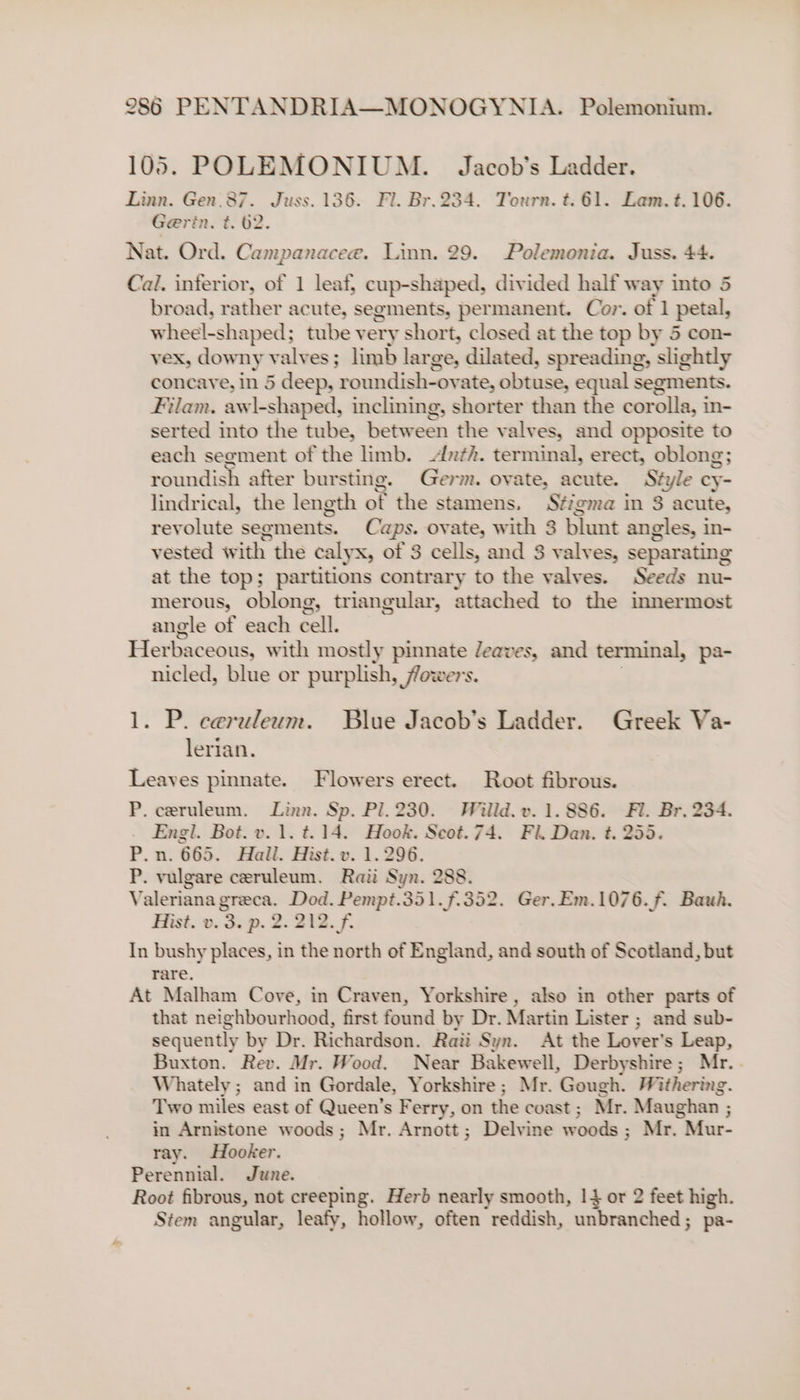 105. POLEMONIUM. Jacob's Ladder. Linn. Gen.87. Juss. 136. Fl. Br.234. Tourn. t. 61. Lam. t. 106. Gerin. t. 62. Nat. Ord. Campanacee. Linn. 29. Polemonia. Juss. 44. Cal. inferior, of 1 leaf, cup-shaped, divided half way into 5 broad, rather acute, segments, permanent. Cor. of 1 petal, wheel-shaped; tube very short, closed at the top by 5 con- vex, downy valves; limb large, dilated, spreading, ‘slightly concave, in 5 deep, roundish-ovate, iialacs equal segments. Filam. awl-shaped, inclining, shorter than the corolla, i in- serted into the tube, between the valv es, and opposite to each segment of the limb. -dzth. terminal, erect, oblong; roundish after bursting. Germ. ovate, acute. Style cy- lindrical, the length of the stamens. Sfigma in 8 acute, revolute segments. Caps. ovate, with 3 blunt angles, in- vested with the calyx, of 3 cells, and 3 valves, separating at the top; partitions contrary to the valves. Seeds nu- merous, oblong, triangular, attached to the innermost angle of each cell. Herbaceous, with mostly = leaves, and terminal, pa- nicled, blue or purplish, flowers 1. P. ceruleum. Blue Jacob’s Ladder. Greek Va- lerian,. Leayes pinnate. Flowers erect. Root fibrous. P. ceruleum. Linn. Sp. Pl. 230. Willd. v. 1.886. Fl. Br. 234. Engl. Bot. v. 1. t. 14. Hook. Seot.74. Fil. Dan. t. 255. P.n. 665. Hall. Hist. v. 1.296. P. vulgare ceruleum. Raii Syn. 2 Valeriana greca. Dod. Pempt.351. 7.352. Ger. Em.1076.f. Bauh. Hist. v. 3. p. 2. 212. f. In bushy places, in the north of England, and south of Scotland, but rare. At Malham Cove, in Craven, Yorkshire , also in other parts of that neighbourhood, first found by Dr. Martin Lister ; and sub- sequently by Dr. Richardveu. Raii Syn. At the Lover's Leap, Buxton. Rev. Mr. Wood. Near Bakewell, Derbyshire ; Mr. . Whately ; and in Gordale, Yorkshire; Mr. Gough. Withering. Two miles east of Queen's Ferry, on the coast; Mr. Maughan ; in Arnistone woods; Mr. Arnott; Delvine woods ; Mr. Mur- ray. Hooker. Perennial. June. Root fibrous, not creeping. Herb nearly smooth, 14 or 2 feet high. Stem angular, leafy, hollow, often reddish, unbranched; pa-