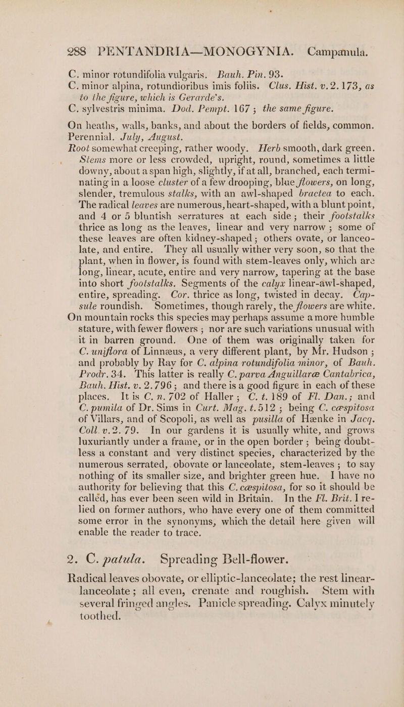C. minor rotundifolia vulgaris. Bauh. Pin. 93. C. minor alpina, rotundioribus imis foliis. Clus. Hist. v.2.173, as to the figure, which is Gerarde’s. C. sylvestris minima, Dod. Pempt. 167; the same figure. On heaths, walls, banks, and about the borders of fields, common. Perennial. July, August. Root somewhat creeping, rather woody. Herb smooth, dark green. Stems more or less crowded, upright, round, sometimes a little downy, about aspan high, slightly, ifat all, branched, each termi- nating in a loose cluster of a few drooping, blue flowers, on long, slender, tremulous stalks, with an awl-shaped bractea to each. The radical leaves are numerous, heart-shaped, with a blunt point, and 4 or 5 bluntish serratures at each side; their footstalks thrice as long as the leaves, linear and very narrow ; some of these leaves are often kidney-shaped ; others ovate, or lanceo- late, and entire. They all usually wither very soon, so that the plant, when in flower, is found with stem-leaves only, which are long, linear, acute, entire and very narrow, tapering at the base into short footstalks. Segments of the calyx linear-awl-shaped, entire, spreading. Cor. thrice as long, twisted in decay. Cap- sule roundish. Sometimes, though rarely, the flowers are white. On mountain rocks this species may perhaps assume amore humble stature, with fewer flowers ; nor are such variations unusual with it in barren ground. One of them was originally taken for C. uniflora of Linneus, a very different plant, by Mr. Hudson ; and probably by Rav for C. alpina rotundifolia minor, of Bauh. Prodr.34. This latter is really C. parva Anguillare Cantabrica, Bauh. Hist. v. 2.796; and there is a good figure in each of these places. It is C.n. 702 of Haller; C. ¢.189 of Fl. Dan.; and C. pumila of Dr. Sims in Curt. Mag. t.512 ; being C. cespitosa of Villars, and of Scopoli, as well as pusilla of Henke in Jacq. Coll.v.2.79. In our gardens it is usually white, and grows luxuriantly under a frame, or in the open border ; being doubt- less a constant and very distinct species, characterized by the numerous serrated, obovate or lanceolate, stem-leaves ; to say nothing of its smaller size, and brighter green hue. I have no authority for believing that this C. cespitosa, for so it should be called, has ever been seen wild in Britain. In the Fl. Brit. I re- lied on former authors, who have every one of them committed some error in the synonyms, which the detail here given will enable the reader to trace. 2. C. patula. Spreading Bell-flower. Radical leaves obovate, or elliptic-lanceolate; the rest linear- lanceolate ; all even, crenate and roughish. Stem with several fringed angles. Panicle spreading. Calyx minutely toothed.