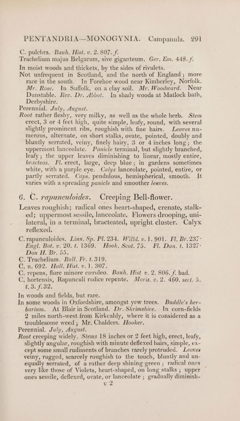 C. pulchra. Bauh. Hist. v. 2. 807. f. Trachelium majus Belgarum, sive giganteum. Ger. Em, 448. f. In moist woods and thickets, by the sides of rivulets. Not unfrequent in Scotland, and the north of England; more rare in the south. In Forehoe wood near Kimberley, Norfolk. Mr. Rose. In Suffolk, on a clay soil. Mr. Woodward. Near Dunstable. Rev. Dr. Abbot. In shady woods at Matlock bath, Derbyshire. Perennial. July, August. Root rather fleshy, very milky, as well as the whole herb. Stem erect, 3 or 4 feet high, quite simple, leafy, round, with several slightly prominent ribs, roughish with fine hairs. Leaves nu- merous, alternate, on short stalks, ovate, pointed, doubly and bluntly serrated, veiny, finely hairy, 3 or 4 inches long; the uppermost lanceolate. Panicle terminal, but slightly branched, leafy ; the upper leaves diminishing to linear, mostly entire, bracteas. Fl. erect, large, deep blue; in gardens sometimes white, with a purple eye. Calyx lanceolate, pointed, entire, or partly serrated. Caps. pendulous, hemispherical, smooth. It varies with a spreading panicle and smoother (eaves. 6. C. rapunculoides. Creeping Bell-flower. Leaves roughish; radical ones heart-shaped, crenate, stalk- ed; uppermost sessile, lanceolate. Flowers drooping, uni- lateral, in a terminal, bracteated, upright cluster. Calyx reflexed. C. rapunculoides. Linn. Sp. Pl. 234. Willd. v.1.901. Fl. Br. 237° Engl. Bot. v. 20. t. 1369. Hook, Scot. 75. Fl. Dan, t. 1327: Don H. Br. 55. C. Trachelium. Bull. Fr. ¢.319. C, n. 692. Hall. Hist, v. 1. 307. C. repens, flore minore ceruleo. Bauh. Mist v. 2. 806. f. bad. C, hortensis, Rapunculi radice repente. Moris. v. 2. 460, sect. 5. t,3. f.32. In woods and fields, but rare. In some woods in Oxfordshire, amongst yew trees. Buddle’s her- barium. At Blair in Scotland. Dr. Skrimshire. In corn-fields 2 miles north-west from Kirkcaldy, where it is considered as a troublesome weed ; Mr, Chalders. Hooker, Perennial. July, August. Root creeping widely. Stems 18 inches or 2 feet high, erect, leafy, slightly angular, roughish with minute deflexed hairs, simple, ex- cept some small rudiments of branches rarely protruded. Leaves veiny, rugged, scarcely roughish to the touch, bluntly and un- equally serrated, of a rather deep shining-green ; radical ones very like those of Violets, heart-shaped, on long stalks ; upper ones sessile, deflexed, ovate, or lanceolate ; gradually diminish- u 2