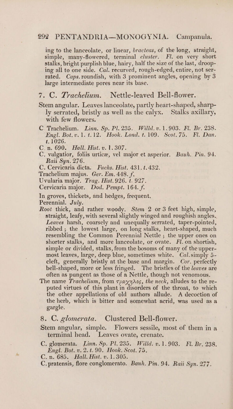 ing to the lanceolate, or linear, bracteas, of the long, straight, simple, many-flowered, terminal cluster. Fl. on very short stalks, bright purplish blue, hairy, half the size of the last, droop- ing all to one side. Cal. recurved, rough-edged, entire, not ser- rated. Caps.roundish, with 3 prominent angles, opening by 3 large intermediate pores near its base. 7. C. Trachelium. Nettle-leaved Bell-flower. Stem angular. Leaves lanceolate, partly heart-shaped, sharp- ly serrated, bristly as well as the calyx. Stalks axillary, with few flowers. C Trachelium. Linn. Sp. Pl. 235. Willd.v. 1.903. Fl. Br. 238. Engl. Bot.v.1. t.12. Hook. Lond. t.109. Scot. 75. Fl. Dan. t. 1026. C.n. 690. Hall. Hist. v. 1.307. C. valgatior, foliis urtice, vel major et asperior. Bauh. Pin. 94. Raii Syn. 276. C. Cervicaria dicta. Fuchs. Hist. 431. t.432. Trachelium majus. Ger. Em. 448. f. Uvularia major. Trag. Hist. 926. t. 927. Cervicaria major. Dod. Pempt. 164. f. In groves, thickets, and hedges, frequent. Perennial. July. | Root thick, and rather woody. Stem 2 or 3 feet high, simple, straight, leafy, with several slightly winged and roughish angles. Leaves harsh, coarsely and unequally serrated, taper-pointed, ribbed ; the lowest large, on long stalks, heart-shaped, much resembling the Common Perennial Nettle ; the upper ones on shorter stalks, and more lanceolate, or ovate. Fl. on shortish, simple or divided, stalks, from the bosoms of many of the upper- most leaves, large, deep blue, sometimes white. Cal.simply 5- cleft, generally bristly at the base and margin. Cor. perfectly bell-shaped, more or less frinyed. The bristles of the leaves are often as pungent as those of a Nettle, though not venomous. The name Trachelium, from rpanxyAos, the neck, alludes to the re- puted virtues of this plant in disorders of the throat, to which the other appellations of old authors allude. A decoction of the herb, which is bitter and somewhat acrid, was used asa gargle. 8. C. glomerata. Clustered Bell-flower. Stem angular, simple. Flowers sessile, most of them in a terminal head. Leaves ovate, crenate. C. glomerata. Linn. Sp. Pl. 235, Willd. v.1.903. Fl. Br. 238. Engl. Bot. v. 2. t.90. Hook. Scot. 75. C..n. 685. -Hall. Hist. v. 1.305. C. pratensis, flore conglomerato. Bawh. Pin. 94. Raii Syn. 277.