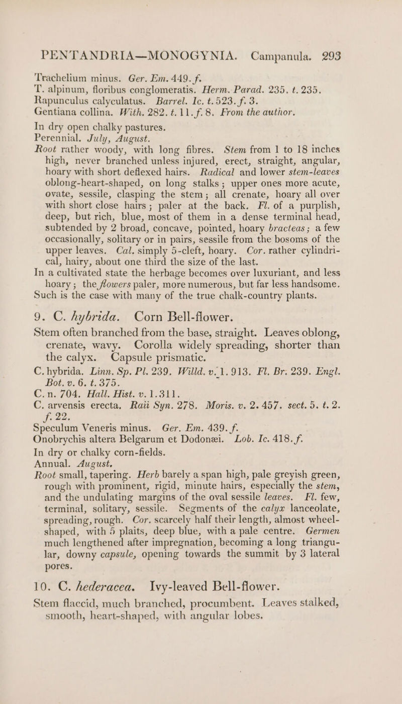 Trachelium minus. Ger. Em. 449. f. T. alpinum, floribus conglomeratis. Herm. Parad. 235. t. 235. Rapunculus calyculatus. Barrel. Ic. t.523. f. 3. Gentiana collina. With. 282. t.11.f.8. From the author. In dry open chalky pastures. Perennial. July, August. Root rather woody, with long fibres. Stem from 1 to 18 inches high, never branched unless injured, erect, straight, angular, hoary with short deflexed hairs. Radical and lower stem-leaves oblong-heart-shaped, on long stalks ; upper ones more acute, ovate, sessile, clasping the stem; all crenate, hoary all over with short close hairs; paler at the back. Fl. of a purplish, deep, but rich, blue, most of them in a dense terminal head, subtended by 2 broad, concave, pointed, hoary bracteas; a few occasionally, solitary or in pairs, sessile from the bosoms of the upper leaves. Cal. simply 5-cleft, hoary. Cor. rather cylindri- cal, hairy, about one third the size of the last. In a cultivated state the herbage becomes over luxuriant, and less hoary ; the flowers paler, more numerous, but far less handsome. Such is the case with many of the true chalk-country plants. 9. C. hybrida. Corn Bell-flower. Stem often branched from the base, straight. Leaves oblong, crenate, wavy. Corolla widely spreading, shorter than the calyx. Capsule prismatic. C. hybrida. Linn. Sp. Pl. 239, Willd. v. 1.913. Fl. Br. 239. Engl. Bot. v. 6. t. 375. C.n. 704. Hall. Hist. v.1.311. C. arvensis erecta, Raitt Syn. 278. Moris. v. 2.457. sect. 5. t. 2. f. 22, Speculum Veneris minus. Ger. Em. 439. /f. Onobrychis altera Belgarum et Dodonei. Lob. Ic. 418. f. In dry or chalky corn-fields. Annual. August, Root small, tapering. Herb barely a span high, pale greyish green, rough with prominent, rigid, minute hairs, especially the stem, and the undulating margins of the oval sessile leaves. Fl. few, terminal, solitary, sessile. Segments of the calyx lanceolate, spreading, rough. Cor. scarcely half their length, almost wheel- shaped, with 5 plaits, deep blue, with a pale centre. Germen much lengthened after impregnation, becoming a long triangu- lar, downy capsule, opening towards the summit by 3 lateral pores. 10. C. hederacea. Ivy-leaved Bell-flower. Stem flaccid, much branched, procumbent. Leaves stalked, smooth, heart-shaped, with angular lobes,