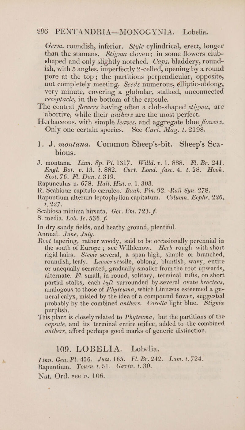 Germ. roundish, inferior. Style cylindrical, erect, longer than the stamens. Stigma cloven; in some flowers club- shaped and only slightly notched. Caps. bladdery, round- ish, with 5 angles, imperfectly 2-celled, opening by a round pore at the top; the partitions perpendicular, opposite, not completely meeting. Seeds numerous, élliptic-oblong, very minute, covering a globular, stalked, unconnected receptacle, in the bottom of the capsule. The central flowers having often a club-shaped sé/gma, are abortive, while their anthers are the most perfect. Herbaceous, with simple leaves, and ageregate blue flowers. Only one certain species. See Curt. Mag. t. 2198. 1. J. montana. Common Sheep’s-bit. Sheep’s Sca- bious. J. montana. Linn. Sp. Pl. 1317. Willd. v. 1. 888. Fl. Br. 241. Engl. Bot. v. 13. t. 882. Curt. Lond. fasc. 4. t.58. Hook. Scot. 76. Fl. Dan. t.319. Rapunculus n. 678. Hall. Hist. v. 1.303. R. Scabiose capitulo ceruleo. Bauh. Pin. 92. -Raii Syn. 278. Rapuntium alterum leptophylion capitatum. Column. Eephr. 226. t. 227. | Scabiosa minima hirsuta. Ger. Em. 723. f. S. media. Lob. Ic. 536. f. In dry sandy fields, and heathy ground, plentiful. Annual. June, July. Root tapering, rather woody, said to be occasionally perennial in the south of Eurape ; see Willdenow. Herb rough with short rigid hairs. Stems several, a span high, simple or branched, roundish, leafy. Leaves sessile, oblong, bluntish, wavy, entire or unequally serrated, gradually smaller from the root upwards, alternate. Fl. small, in round, solitary, terminal tufts, on short partial stalks, each tuft surrounded by several ovate bracteas, analogous to those of Phyteuma, which Linneus esteemed a ge- neral calyx, misled by the idea of a compound flower, suggested probably by the combined anthers. Corolla light blue. Stigma purplish. This plant is closely related to Phyteuma; but the partitions of the capsule, and its terminal entire orifice, added to the combined anthers, afford perhaps good marks of generic distinction. 109. LOBELIA. Lobelia. Linn. Gen. Pl. 456. Juss. 165. Fl. Br. 242. Lam. t.724. Rapuntium, Tourn. t.51. Gerin. 1.30. Nat. Ord. see 7. 106.
