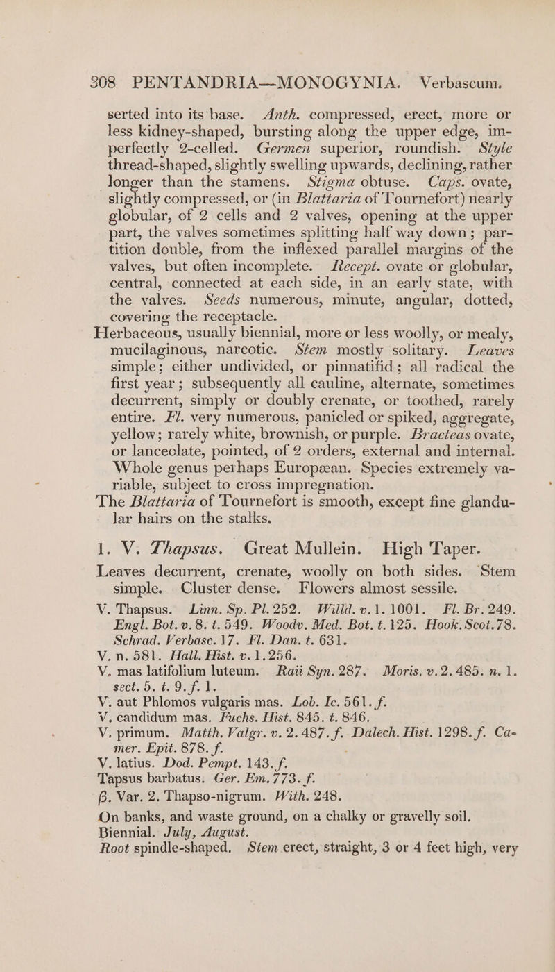 serted into its base. Anth. compressed, erect, more or less kidney-shaped, bursting along the upper edge, im- perfectly 2-celled. Germen superior, roundish. Style thread-shaped, slightly swelling upwards, declining, rather longer than the stamens. Stigma obtuse. Caps. ovate, slightly compressed, or (in Blattaria of Tournefort) nearly globular, of 2 cells and 2 valves, opening at the upper part, the valves sometimes splitting half way down; par- tition double, from the inflexed parallel margins of the valves, but often incomplete. Recept. ovate or globular, central, connected at each side, in an early state, with the valves. Seeds numerous, minute, angular, dotted, covering the receptacle. Herbaceous, usually biennial, more or less woolly, or mealy, mucilaginous, narcotic. Stem mostly solitary. Leaves simple; either undivided, or pinnatifid; all radical the first year ; subsequently all cauline, alternate, sometimes decurrent, simply or doubly crenate, or toothed, rarely entire. ZU. very numerous, panicled or spiked, aggregate, yellow; rarely white, brownish, or purple. Bracteas ovate, or lanceolate, pointed, of 2 orders, external and internal. Whole genus perhaps European. Species extremely va- riable, subject to cross impregnation. The Blattaria of Tournefort is smooth, except fine glandu- lar hairs on the stalks, 1. V. Thapsus. Great Mullein. High Taper. Leaves decurrent, crenate, woolly on both sides. ‘Stem simple. Cluster dense. Flowers almost sessile. V. Thapsus. Linn. Sp. Pl. 252. Willd.v.1.1001. Fl. Br. 249. Engl. Bot. v.8. t.549. Woodv. Med. Bot. t.125. Hook. Scot.78. Schrad. Verbase. 17. Fl. Dan. t. 631. V.n. 581. Hall. Hist. v. 1.256. V. mas latifolium luteum. Raii Syn. 287. Moris. v.2.485. n. 1. sect... £79. V. aut Phlomos vulgaris mas. Lob. Ic. 561./f. V.candidum mas. Fuchs. Hist. 845. t. 846. V. primum. Matth. Valgr. v. 2.487. f. Dalech. Hist. 1298. f. Ca- mer. Epit. 878. f. V. latius. Dod. Pempt. 143. f. Tapsus barbatus. Ger. Em. 773. f. 8. Var. 2. Thapso-nigrum. With. 248. On banks, and waste ground, on a chalky or gravelly soil. Biennial. July, August. Root spindle-shaped, Stem erect, straight, 3 or 4 feet high, very