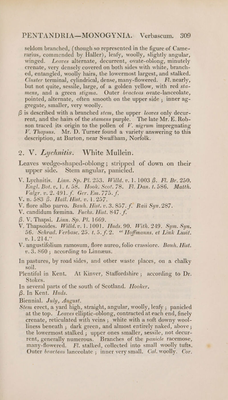 seldom branched, (though so represented in the figure of Came- rarius, commended by Haller), leafy, woolly, slightly angular, winged. Leaves alternate, decurrent, ovate-oblong, minutely crenate, very densely covered on both sides with white, branch- ed, entangled, woolly hairs, the lowermost largest, and stalked. Cluster terminal, cylindrical, dense, many-flowered. Fl. nearly, but not quite, sessile, large, of a golden yellow, with red sta- mens, and a green stigma. Outer bracteas ovate-lanceolate, pointed, alternate, often smooth on the upper side ; inner ag- gregate, smaller, very woolly. 6 is described with a branched stem, the upper leaves only decur- rent, and the hairs of the stamens purple. The late Mr. E. Rob- son traced its origin to the pollen of V. nigrum impregnating V. Thapsus. Mr. D. Turner found a variety answering to this description, at Barton, near Swaffham, Norfolk. 2. V. Lychnitis. White Mullein. Leaves wedge-shaped-oblong ; stripped of down on their upper side. Stem angular, panicled. V. Lychnitis. Linn. Sp. Pl. 253. . Willd. v. 1.1003 6. Fl. Br. 250. Engl. Bot.v.1.t.58. Hook. Scot.78. Fl. Dan. t.586. Matth. Valgr.v. 2.491. f. Ger. Em. 775. f- Vi nt. 583° 6s Hall: Bistl vA: 257: V. flore albo parvo. Bauwh. Hist. v.3.857.f. Raii Syn. 287. V. candidum foemina. Fuchs. Hist. 847. f. 6. V. Thapsi. Linn. Sp. Pl. 1669. - V. Thapsoides. Willd.v.1.1001. Huds.90. With. 249. Sym. Syn. 56. Schrad. Verbasc. 25. t.5. f.2. “© Hoffmanns. et Link Lusit. 91,214. V. angustifolium ramosum, flore aureo, folio crassiore. Bauh. Hist. v. 3.860; according to Linneus. In pastures, by road sides, and other waste places, on a chalky soil. Plentiful in Kent, At Kinver, Staffordshire ; according to Dr. Stokes. In several parts of the south of Scotland. Hooker. B. In Kent. Huds. Biennial. July, dugust. Stem erect, a yard high, straight, angular, woolly, leafy ; panicled at the top. Leaves elliptic-oblong, contracted at each end, finely crenate, reticulated with veins ; white with a soft downy wool- liness beneath ; dark green, and almost entirely naked, above ; the lowermost stalked ; upper ones smaller, sessile, not decur- rent, generally numerous. Branches of the panicle racemose, many-flowered. F/. stalked, collected into small woolly tufts, Outer bracteas Janceolate ; inner very small. Cal. woolly. Cor.