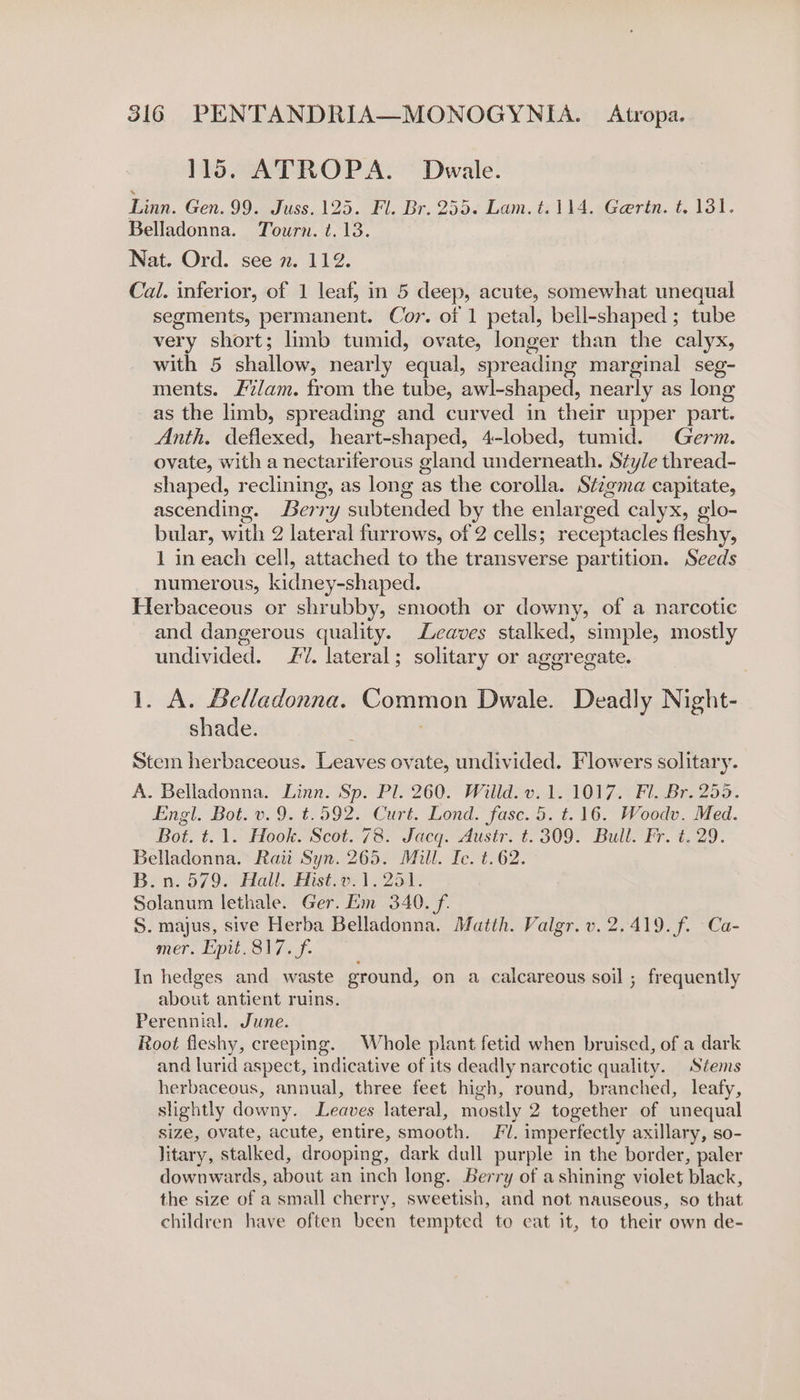 115. ATROPA. Dwale. fe Gen. 99. Juss. 125. Fl. Br. 255. Lam. t.114. Ge@rin. t. 131. Belladonna. Tourn. t.13. Nat. Ord. see n. 112. Cal. inferior, of 1 leaf, in 5 deep, acute, somewhat unequal segments, permanent. Cor. of 1 petal, bell-shaped ; tube very short; limb tumid, ovate, longer than the calyx, with 5 shallow, nearly equal, spreading marginal seg- ments. Flam. from the tube, awl-shaped, nearly as long _as the limb, spreading and curved in their upper part. Anth. deflexed, heart-shaped, 4-lobed, tumid. Germ. ovate, with a nectariferous gland underneath. Style thread- shaped, reclining, as long as the corolla. Stzgma capitate, ascending. Berr ‘Yy subtended by the enlar wed calyx, glo- bular, with 2 lateral furrows, of 2 cells; receptacles fleshy, 1 in each cell, attached to the transverse partition. Seeds numerous, kidney-shaped. Herbaceous or shrubby, smooth or downy, of a narcotic and dangerous quality. Leaves stalked, simple, mostly undivided. #7. lateral; solitary or aggregate. 1. A. Belladonna. Common Dwale. Deadly Night- shade. Stem herbaceous. Leaves ovate, undivided. Flowers solitary. A. Belladonna. Linn. Sp. Pl. 260. Willd. v. 1.1017. Fl. Br. 255. Engl. Bot. v. 9. t.592. Curt. Lond. fasc. 5. t. 16. Woodv. Med. Bot. t. 1. Hook. Scot..78. Jacq: Austr: t. 309) Bull Fr. 4.29. Belladonna, Raii Syn. 265. Mill. Ic. t.62. B.n. 579. Hall. Hist.v.1. 251. Solanum lethale. Ger. im 340. f. S. majus, sive Herba Belladonna. Matth. Valgr. v. 2.419. f. Ca- mer. Epit. 817. f. In hedges and waste ground, on a calcareous soil ; frequently about antient ruins. Perennial. June. Root fleshy, creeping. Whole plant fetid when bruised, of a dark and lurid aspect, indicative of its deadly narcotic quality. Stems herbaceous, annual, three feet high, round, branched, leafy, slightly downy. Leaves lateral, mostly 2 together of unequal size, ovate, acute, entire, smooth. Fl. imperfectly axillary, so- litary, stalked, drooping, dark dull purple in the border, paler downwards, about an inch long. Berry of a shining violet black, the size of a small cherry, sweetish, and not nauseous, so that children have often been tempted to eat it, to their own de-