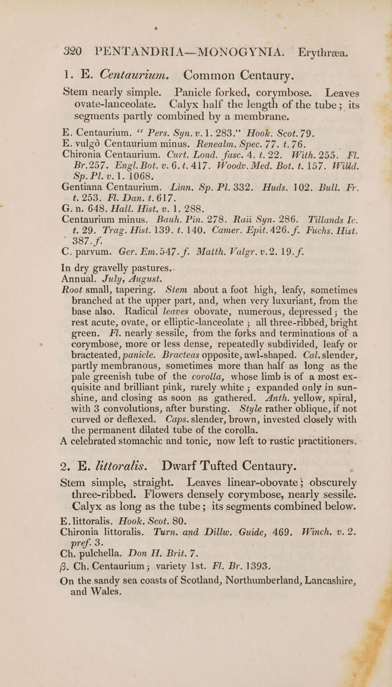 1. E. Centaurtwum. Common Centaury. Stem nearly simple. Panicle forked, corymbose. Leaves ovate-lanceolate. Calyx half the length of the tube; its segments partly combined by a membrane. E. Centaurium. “ Pers. Syn. v.1.283.” Hook. Scot.79. E. vulgo Centaurium minus. Renealm. ee 11.4240. Chironia Centaurium. Curt. Lond. fasc. 4. t.22. With.255. Fl. Br.257. Engl. Bot. v.6.t.417. Woodv. Med. Bot. t. 157. Willd. Sp. Pl. v.1. 1068. Gentiana Centaurium. Linn. Sp. Pl. 332. Huds. 102. Bull. Fr. t. 253. Fl. Dan. t.617. G.n. 648. Hail. Hist. v. 1. 288. Centaurium minus. Bauh. Pin. 278. Raii Syn. 286. Tillands Ic. t. 29. Trag. Hist. 139. t. 140. Camer. Epit.426. f. Fuchs. Hist. pOOl: Js C. parvum. Ger. Em.547. f. Matth. Valgr. v.2. 19. f. In dry gravelly pastures.. Annual. July, August. Root small, tapering. Stem about a foot high, leafy, sometimes branched at the upper part, and, when very luxuriant, from the base also. Radical leaves obovate, numerous, depressed ; the rest acute, ovate, or elliptic-lanceolate ; all three-ribbed, bright green. Fi. nearly sessile, from the forks and terminations of a corymbose, more or less dense, repeatedly subdivided, leafy or bracteated, panicle. Bracteas opposite, awl-shaped. Cal: slender, partly membranous, sometimes more than half as long as the pale greenish tube of the corolla, whose limb is of a most ex- quisite and brilliant pink, rarely white ; expanded only in sun- shine, and.closing as soon as gathered. Anth. yellow, spiral, with 3 convolutions, after bursting. Style rather oblique, if not curved or deflexed. Caps. slender, brown, invested esse with the permanent dilated tube of the corolla. A celebrated stomachic and tonic, now left to rustic practitioners. 2. E. ttorals. Dwarf Tufted Centaury. Stem simple, straight. Leaves linear-obovate$} obscurely three-ribbed. Flowers densely corymbose, nearly sessile. Calyx as long as the tube; its segments combined below. E. littoralis. Hook, Scot. 80. Chironia littoralis. Turn. and Dillw. Guide, 469. Winch. v. 2. pref. 3. Ch. pulchella. Don H. Brit. 7. 3. Ch. Centaurium ; variety Ist. Fl. Br. 1393. On the sandy sea coasts of Scotland, Northumberland, Lancashire, and Wales.