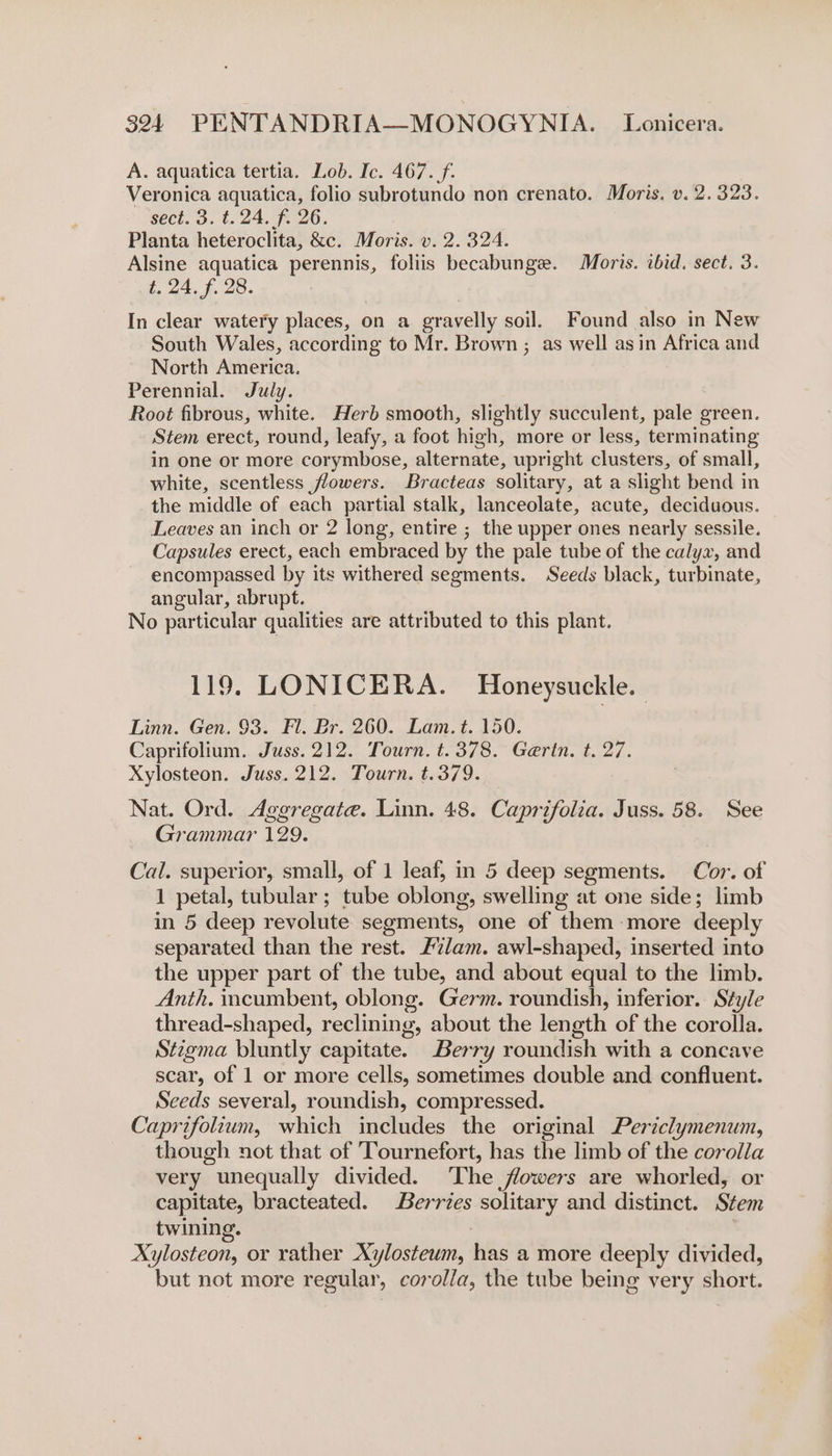 A. aquatica tertia. Lob. Ic. 467. f. Veronica aquatica, folio subrotundo non crenato. Moris. v. 2.323. sect. 3. t.24. fi 26. Planta heteroclita, &amp;c. Moris. v. 2. 324. Alsine aquatica perennis, foliis becabunge. Moris. ibid. sect. 3. t. 24. f. 28. In clear watery places, on a gravelly soil. Found also in New South Wales, according to Mr. Brown ; as well asin Africa and North America. Perennial. July. Root fibrous, white. Herb smooth, slightly succulent, pale green. Stem erect, round, leafy, a foot high, more or less, terminating in one or more corymbose, alternate, upright clusters, of small, white, scentless flowers. Bracteas solitary, at a slight bend in the middle of each partial stalk, lanceolate, acute, deciduous. Leaves an inch or 2 long, entire ; the upper ones nearly sessile. Capsules erect, each embraced by the pale tube of the calyx, and encompassed by its withered segments. Seeds black, turbinate, angular, abrupt. No particular qualities are attributed to this plant. 119. LONICERA. Honeysuckle. Linn. Gen. 93. Fl. Br. 260. Lam. t. 150. Caprifolium. Juss. 212. Tourn. t. 378. Gaertn. t. 27. Xylosteon. Juss. 212. Tourn. t.379. Nat. Ord. Aggregate. Linn. 48. Caprifolia. Juss. 58. See Grammar 129. Cal. superior, small, of 1 leaf, in 5 deep segments. Cor. of 1 petal, tubular; tube oblong, swelling at one side; limb in 5 deep revolute segments, one of them more deeply separated than the rest. Fvlam. awl-shaped, inserted into the upper part of the tube, and about equal to the limb. Anth. incumbent, oblong. Germ. roundish, inferior. Style thread-shaped, reclining, about the length of the corolla. Stzgma bluntly capitate. Berry roundish with a concave scar, of 1 or more cells, sometimes double and confluent. Seeds several, roundish, compressed. | Caprifolium, which includes the original Periclymenum, though not that of Tournefort, has the limb of the corolla very unequally divided. ‘The flowers are whorled, or capitate, bracteated. Berries solitary and distinct. Stem twining. . Xylosteon, or rather Xylosteum, has a more deeply divided, but not more regular, corolla, the tube being very short.