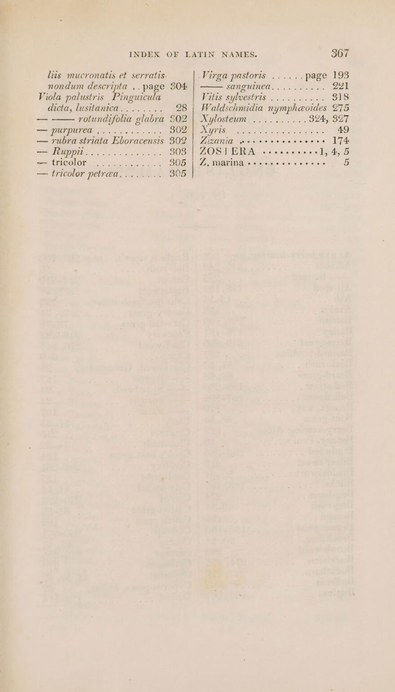 dicta, lusitanica — — purpurea ,... — Ruppi...... ae ote ee 304 28 202 302 302 303 305 Virgen pastoris ...... page 193 MRTuINCR |. 8. 221 ZG OES ae 318 Waldschmidia nympheoides 275 RRO UTE Fe. oo cd 324, 327 a eee Dee x eis vRlee Duews 49 LISUNG wiasise senveveass )74 AOGU PIER, &lt;&lt; sens ++ dehy S