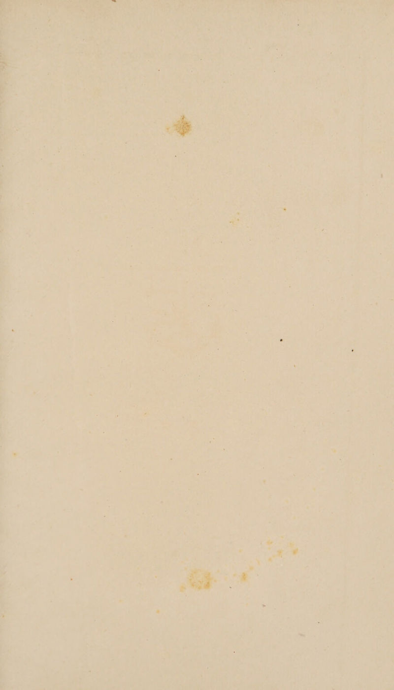 of i - i ’ se ert \ ky ~ ’ “ia? eb paikg. a.