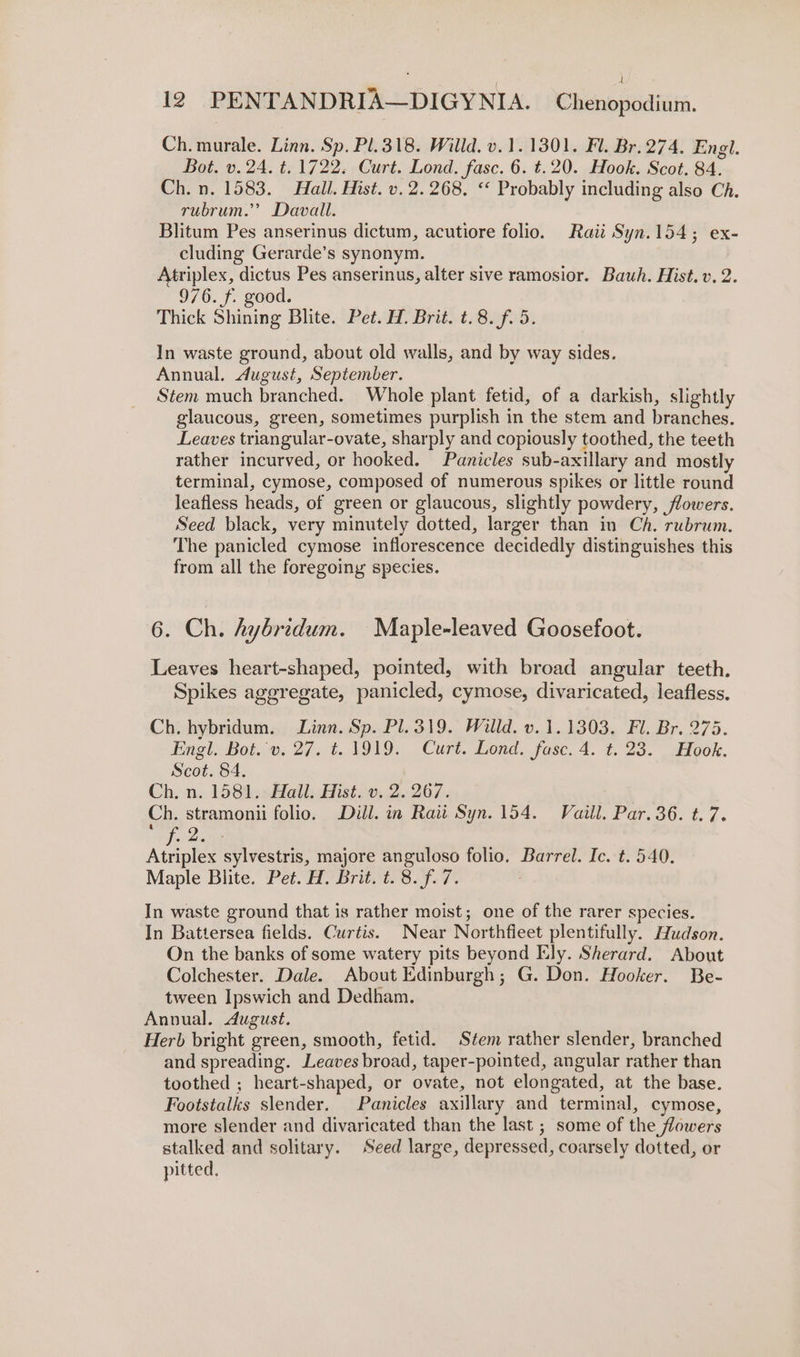 Ch. murale. Linn. Sp. Pl.318. Willd. v.1.1301. Fl. Br.274. Engl. Bot. v.24. t. 1722. Curt. Lond. fasc. 6. t.20. Hook. Scot. 84. Ch. n. 1583. Hall. Hist. v. 2. 268. «* Probably including also Ch. rubrum.” Davall. Blitum Pes anserinus dictum, acutiore folio. Raii Syn.154; ex- cluding Gerarde’s synonym. Atriplex, dictus Pes anserinus, alter sive ramosior. Bauwh. Hist. v. 2. 976. f. good. Thick Shining Blite. Pet. H. Brit. t.8. f. 5. In waste ground, about old walls, and by way sides. Annual. dugust, September. Stem much branched. Whole plant fetid, of a darkish, slightly glaucous, green, sometimes purplish in the stem and branches. Leaves triangular-ovate, sharply and copiously toothed, the teeth rather incurved, or hooked. Panicles sub-axillary and mostly terminal, cymose, composed of numerous spikes or little round leafless heads, of green or glaucous, slightly powdery, flowers. Seed black, very minutely dotted, larger than in Ch. rubrum. The panicled cymose inflorescence decidedly distinguishes this from all the foregoing species. 6. Ch. hybridum. Maple-leaved Goosefoot. Leaves heart-shaped, pointed, with broad angular teeth. Spikes aggregate, panicled, cymose, divaricated, leafless. Ch. hybridum. Linn. Sp. Pl. 319. Willd. v. 1.1303. Fl. Br. 275. Engl. Bot.'v. 27. t. 1919. Curt. Lond. fase. 4. t. 23. . Hook. Scot. 84. Ch. n. 1581. Hall. Hist. v. 2. 267. Ch. stramonii folio. Dill. in Raii Syn. 154. Vaill. Par. 36. t. 7. Atriplex sylvestris, majore anguloso folio. Barrel. Ic. t. 540. Maple Blite. Pet. H. Brit. t. 8. f.7. In waste ground that is rather moist; one of the rarer species. In Battersea fields. Curtis. Near Northfieet plentifully. Hudson. On the banks of some watery pits beyond Ely. Sherard. About Colchester. Dale. About Edinburgh; G. Don. Hooker. Be- tween Ipswich and Dedham. Anvual. dugust. Herb bright green, smooth, fetid. Stem rather slender, branched and spreading. Leaves broad, taper-pointed, angular rather than toothed ; heart-shaped, or ovate, not elongated, at the base. Footstalks slender. Panicles axillary and terminal, cymose, more slender and divaricated than the last ; some of the flowers stalked and solitary. Seed large, depressed, coarsely dotted, or