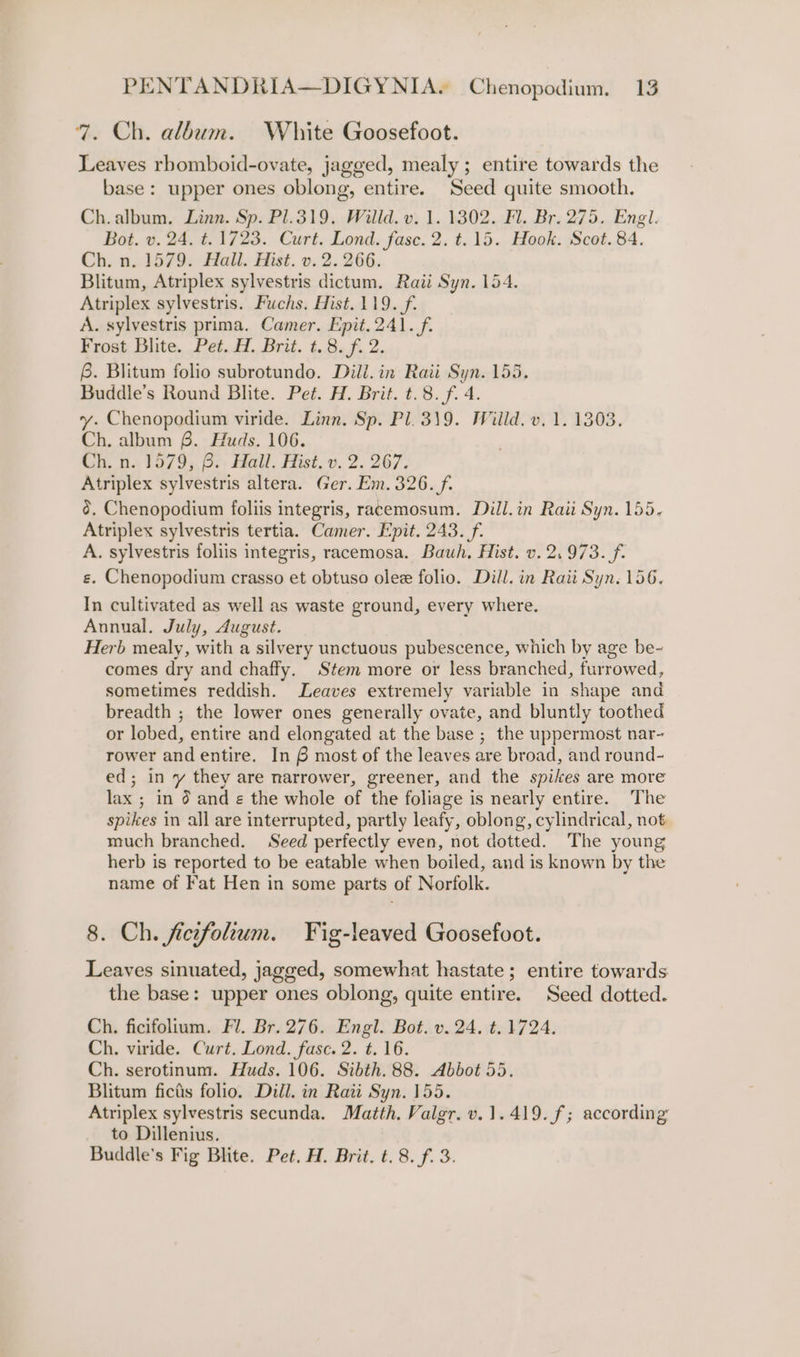7. Ch. album. White Goosefoot. Leaves rbomboid-ovate, jagged, mealy ; entire towards the base: upper ones oblong, entire. Seed quite smooth. Ch.album. Linn. Sp. P1.319. Willd. v. 1. 1302. Fl. Br. 275. Engl. Bot. v. 24. t. 1723. Curt. Lond. fase. 2. t. 15. Hook. Scot. 84. Ch. n..1579. Hall. Hist. v..2..266. Blitum, Atriplex sylvestris dictum. Raii Syn. 154. Atriplex sylvestris. Fuchs. Hist. 119. f. A. sylvestris prima. Camer. Epit.241. f. Frost Blite. Pet. H. Brit. t.8.f. 2. 6. Blitum folio subrotundo. Dili. in Rati Syn. 155. Buddle’s Round Blite. Pet. H. Brit. t.8.f. 4. y. Chenopodium viride. Linn. Sp. Pl. 319. Willd. v. 1. 1303. Ch. album 8. Huds. 106. Ch. n. 1579, 8. Hail. Hist. v. 2. 267. Atriplex sylvestris altera. Ger. Em. 326. f. d. Chenopodium foliis integris, racemosum. Dill.in Rati Syn. 155. Atriplex sylvestris tertia. Camer. Epit. 243. f. A. sylvestris foliis integris, racemosa. Bauh, Hist. v. 2.973. f- e. Chenopodium crasso et obtuso olee folio. Dill. in Raii Syn. 156. In cultivated as well as waste ground, every where. Annual. July, August. Herb mealy, with a silvery unctuous pubescence, which by age be~ comes dry and chaffy. Stem more or less branched, furrowed, sometimes reddish. Leaves extremely variable in shape and breadth ; the lower ones generally ovate, and bluntly toothed or lobed, entire and elongated at the base ; the uppermost nar- rower andentire. In 6 most of the leaves are broad, and round- ed; in vy they are narrower, greener, and the spikes are more lax ; in 6 and ¢ the whole of the foliage is nearly entire. The spikes in all are interrupted, partly leafy, oblong, cylindrical, not much branched. Seed perfectly even, not dotted. The young herb is reported to be eatable when boiled, and is known by the name of Fat Hen in some parts of Norfolk. 8. Ch. fiezefolium. Fig-leaved Goosefoot. Leaves sinuated, jagged, somewhat hastate; entire towards the base: upper ones oblong, quite entire. Seed dotted. Ch. ficifolium. Fl. Br. 276. Engl. Bot. v.24. t. 1724. Ch. viride. Curt. Lond. fasc. 2. t. 16. Ch. serotinum. Huds. 106. Sibth. 88. Abbot 55. Blitum fictis folio. Dill. in Rati Syn. 155. Atriplex sylvestris secunda. Matth, Valgr. v.1.419.f; according to Dillenius. Buddle’s Fig Blite. Pet. H. Brit. t, 8. f. 3.