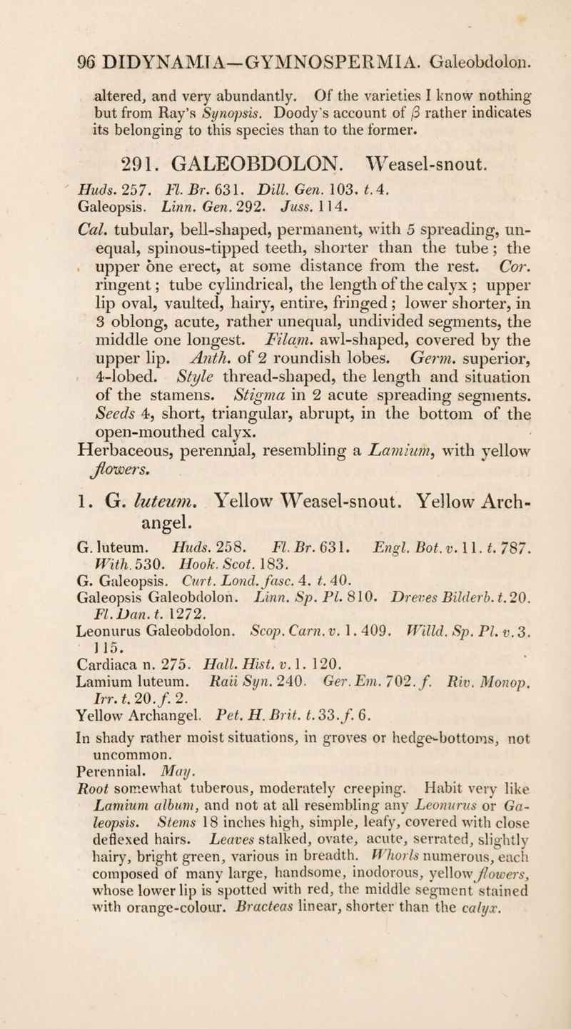 altered, and very abundantly. Of the varieties I know nothing but from Ray’s Synopsis. Doody's account of (3 rather indicates its belonging to this species than to the former. 291. GALEOBDOLON. Weasel-snout. Huds. 257. FI. Br. 631. Dill. Gen. 103. tA. Galeopsis. Linn. Gen. 292. Juss. 114. Cal. tubular, bell-shaped, permanent, with 5 spreading, un¬ equal, spinous-tipped teeth, shorter than the tube; the upper one erect, at some distance from the rest. Cor. ringent; tube cylindrical, the length of the calyx ; upper lip oval, vaulted, hairy, entire, fringed; lower shorter, in 3 oblong, acute, rather unequal, undivided segments, the middle one longest. Filam. awl-shaped, covered by the upper lip. Anth. of 2 roundish lobes. Germ, superior, 4-lobed. Style thread-shaped, the length and situation of the stamens. Stigma in 2 acute spreading segments. Seeds 4, short, triangular, abrupt, in the bottom of the open-mouthed calyx. Herbaceous, perennial, resembling a Lamium, with yellow Jlowers. 1. G. luteum. Yellow Weasel-snout. Yellow Arch¬ angel. G. luteum. Huds. 258. Fl.Br.631. Engl. Bot.v.W. t. 787. With. 530. Hook. Scot. 183. G. Galeopsis. Curt. Lond.fasc. 4. t.40. Galeopsis Galeobdolon. Linn. Sp. PI. 810. Dreves Bilderb.t. 20. FI. Dan. t. 1272. Leonurus Galeobdolon. Scop. Cam. v. 1.409. Willd. Sp. PI. v.3. ] 15. Cardiaca n. 275. Hall. Hist. v. 1. 120. Lamium luteum. Raii Syn. 240. Ger.Em.762. f. Riv. Monop. Irr. t.20.f. 2. Yellow Archangel. Pet. H. Brit. t. 33. f. 6. In shady rather moist situations, in groves or hedge-bottoms, not uncommon. Perennial. May. Root somewhat tuberous, moderately creeping. Habit very like Lamium album, and not at all resembling any Leonurus or Ga¬ leopsis. Stems 18 inches high, simple, leafy, covered with close deflexed hairs. Leaves stalked, ovate, acute, serrated, slightly hairy, bright green, various in breadth. Whorls numerous, each composed of many large, handsome, inodorous, yellow Jlowers, whose lower lip is spotted with red, the middle segment stained with orange-colour. Bracteas linear, shorter than the calyx.