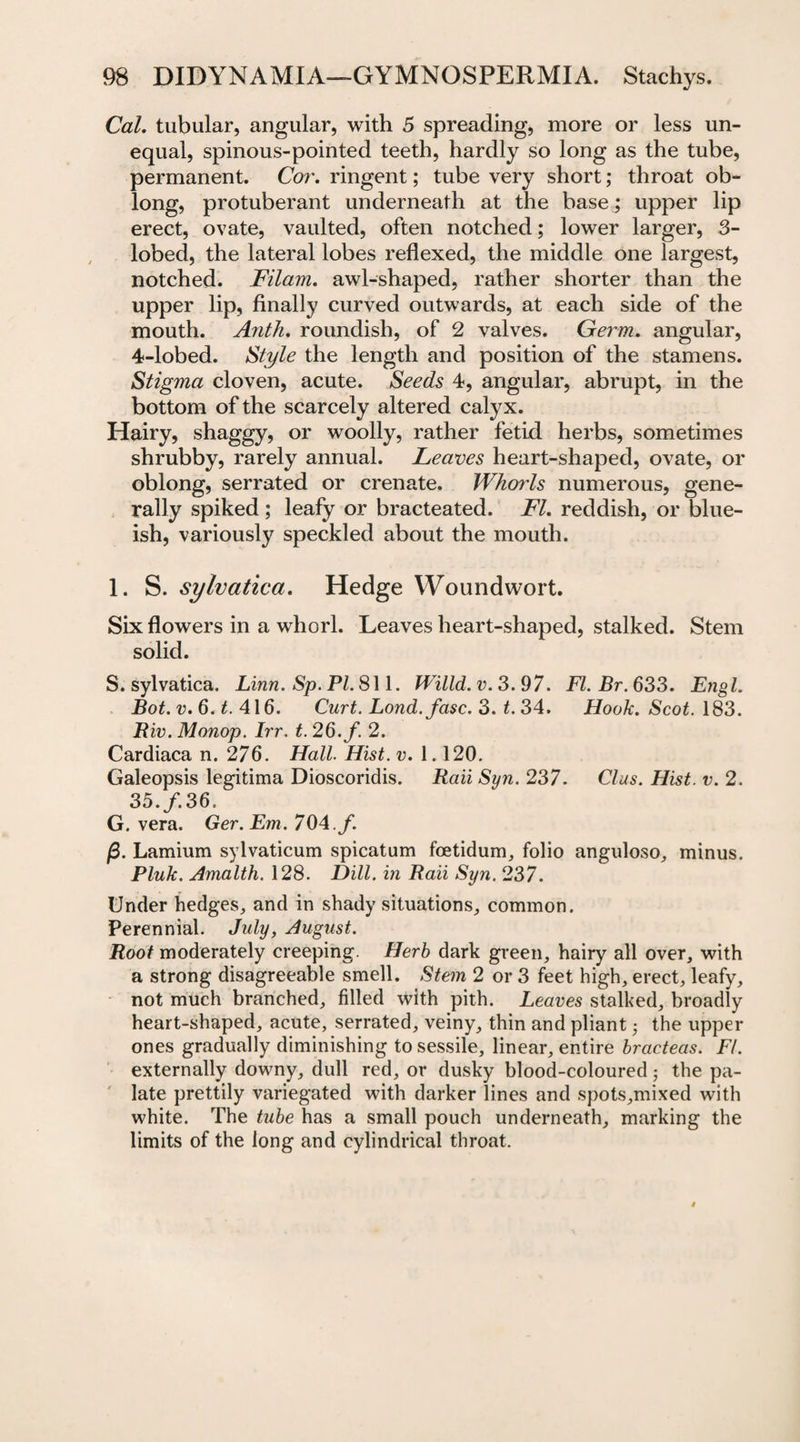 Cal. tubular, angular, with 5 spreading, more or less un¬ equal, spinous-pointed teeth, hardly so long as the tube, permanent. Cor. ringent; tube very short; throat ob¬ long, protuberant underneath at the basej upper lip erect, ovate, vaulted, often notched; lower larger, 3- lobed, the lateral lobes reflexed, the middle one largest, notched. Filam. awl-shaped, rather shorter than the upper lip, finally curved outwards, at each side of the mouth. Anth. roundish, of 2 valves. Germ, angular, 4-lobed. Style the length and position of the stamens. Stigma cloven, acute. Seeds 4, angular, abrupt, in the bottom of the scarcely altered calyx. Hairy, shaggy, or woolly, rather fetid herbs, sometimes shrubby, rarely annual. Leaves heart-shaped, ovate, or oblong, serrated or crenate. Whorls numerous, gene¬ rally spiked ; leafy or bracteated. FI. reddish, or blue- ish, variously speckled about the mouth. 1. S. sylvatica. Hedge Woundwort. Six flowers in a whorl. Leaves heart-shaped, stalked. Stem solid. S. sylvatica. Linn. Sp. PI. 811. Willd.v.3.97. Fl.Br.633. Engl. Bot.v.6.t. 416. Curt. Lond.fasc. 3. t. 34. Hook. Scot. 183. Riv. Monop. Irr. t.26.f. 2. Cardiaca n. 276. Hall. Hist. v. 1.120. Galeopsis legitima Dioscoridis. Raii Syn. 237. Clus. Hist. v. 2. 35./.36. G. vera. Ger. Em. 704./. (3. Lamium sylvaticum spicatum fcetidum, folio anguloso, minus. Pluk. Amalth. 128. Dill, in Raii Syn. 237. Under hedges, and in shady situations, common. Perennial. July, August. Root moderately creeping. Herb dark green, hairy all over, with a strong disagreeable smell. Stem 2 or 3 feet high, erect, leafy, not much branched, filled with pith. Leaves stalked, broadly heart-shaped, acute, serrated, veiny, thin and pliant • the upper ones gradually diminishing to sessile, linear, entire bracteas. FI. externally downy, dull red, or dusky blood-coloured; the pa¬ late prettily variegated with darker lines and spots,mixed with white. The tube has a small pouch underneath, marking the limits of the long and cylindrical throat.