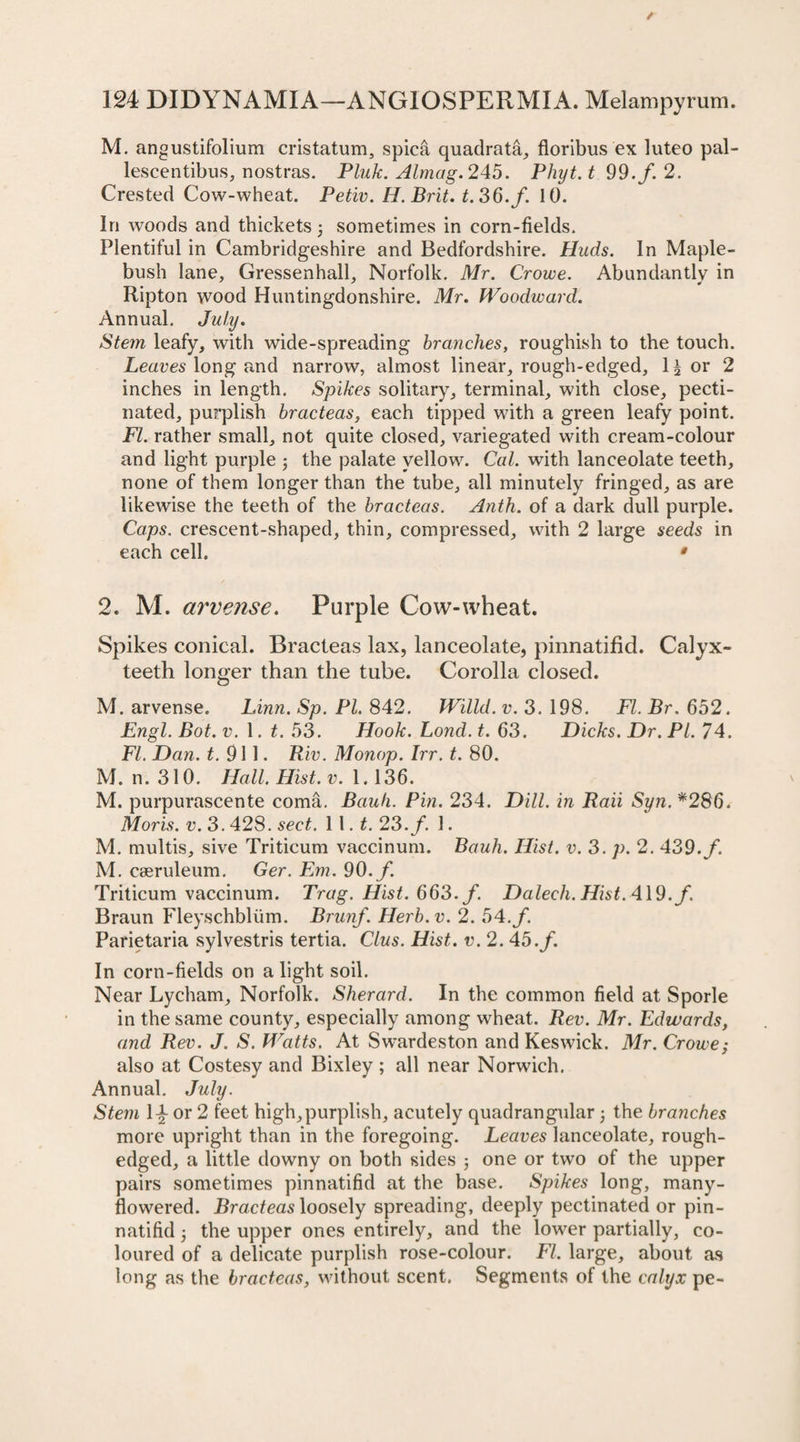 M. angustifolium cristatum, spica quadrata, floribus ex luteo pal- lescentibus, nostras. Pluk. Almag. 245. Phyt.t 99.J.2. Crested Cow-wheat. Petiv. H. Brit. t.36.f. 10. In woods and thickets ; sometimes in corn-fields. Plentiful in Cambridgeshire and Bedfordshire. Huds. In Maple- bush lane, Gressenhall, Norfolk. Mr. Crowe. Abundantly in Ripton wood Huntingdonshire. Mr. Woodward. Annual. July. Stem leafy, with wide-spreading branches, roughish to the touch. Leaves long and narrow, almost linear, rough-edged, 1^ or 2 inches in length. Spikes solitary, terminal, with close, pecti¬ nated, purplish bracteas, each tipped with a green leafy point. FI. rather small, not quite closed, variegated with cream-colour and light purple ; the palate yellow. Cal. with lanceolate teeth, none of them longer than the tube, all minutely fringed, as are likewise the teeth of the bracteas. Anth. of a dark dull purple. Caps, crescent-shaped, thin, compressed, with 2 large seeds in each cell. • 2. M. arvense. Purple Cow-wheat. Spikes conical. Bracteas lax, lanceolate, pinnatifid. Calyx- teeth longer than the tube. Corolla closed. M. arvense. Linn. Sp. Pl. 842. Willd. v. 3. 198. FI. Br. 652. Engl. Bot. v. 1. t. 53. Hook. Lond. t. 63. Dicks. Dr. PL 74. FI. Dan. t. 91 1. Riv. Monop. Irr. t. 80. M. n. 310. Hall. Hist. v. 1.136. M. purpurascente coma. Bank. Pin. 234. Dill, in Raii Syn. *286. Moris, v. 3. 428. sect. 11. t. 23. /. 1. M. multis, sive Triticum vaccinum. Bauh. Hist. v. 3. p. 2. 439./. M. cseruleum. Ger. Em. 90. /. Triticum vaccinum. Trag. Hist. 663. /. Daleck. Hist. 419./. Braun Fleyschbliim. Brunf. Herb. v. 2. 54./. Parietaria sylvestris tertia. Clus. Hist. v. 2. 45./. In corn-fields on a light soil. Near Lycham, Norfolk. Sherard. In the common field at Sporle in the same county, especially among wheat. Rev. Mr. Edwards, and Rev. J. S. Watts. At Swardeston and Keswick. Mr. Crowe; also at Costesy and Bixley ; all near Norwich. Annual. July. Stem 14 or 2 feet high,purplish, acutely quadrangular; the branches more upright than in the foregoing. Leaves lanceolate, rough- edged, a little downy on both sides j one or two of the upper pairs sometimes pinnatifid at the base. Spikes long, many- flowered. Bracteas loosely spreading, deeply pectinated or pin¬ natifid ; the upper ones entirely, and the lower partially, co¬ loured of a delicate purplish rose-colour. FI. large, about as long as the bracteas, without scent. Segments of the calyx pe-