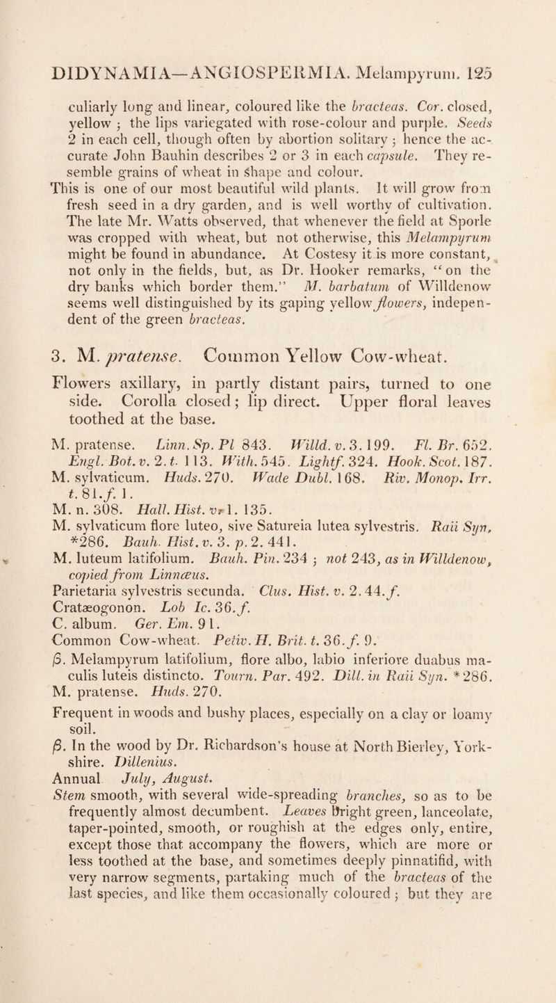 culiarly long and linear, coloured like the bracteas. Cor. closed, yellow ; the lips variegated with rose-colour and purple. Seeds 2 in each cell, though often by abortion solitary ■ hence the ac¬ curate John Bauhin describes 2 or 3 in each capsule. They re¬ semble grains of wheat in Shape and colour. This is one of our most beautiful wild plants. It will grow from fresh seed in a dry garden, and is well worthy of cultivation. The late Mr. Watts observed, that whenever the field at Sporle was cropped with wheat, but not otherwise, this Melampyrum might be found in abundance. At Costesy it is more constant, not only in the fields, but, as Dr. Hooker remarks, “on the dry banks which border them.” M. barbatum of Willdenow seems well distinguished by its gaping yellow jlowers, indepen¬ dent of the green bracteas. 3. M.pi'atense. Common Yellow Cow-wheat. Flowers axillary, in partly distant pairs, turned to one side. Corolla closed; lip direct. Upper floral leaves toothed at the base. M. pratense. Linn. Sp. PI 843. Willd.v. 3.199. Fl.Br.652. Engl. Bot.v. 2. t. 113. With. 545. Lightf. 324. Hook. Scot. 187. M. sylvaticum. Huds.270. Wade Dubl. 168. Riv. Monop. Irr. *.81./. 1. M. n. 308. Hall.Hist.vr 1.135. M. sylvaticum flore luteo, sive Satureia lutea sylvestris. Raii Syn, *286. Bauh. Hist. v. 3. p.2. 441. M. luteum latifolium. Bauh. Pin. 234 ; not 243, as in Willdenowt copied from Linnceus. Parietaria sylvestris secunda. Clus. Hist. v. 2.44.f. Crataeogonon. Lob Ic. 36./ C. album. Ger. Em. 9 1. Common Cow-wheat. Petiv.H. Brit. *.36./ 9. jo. Melampyrum latifolium, flore albo, labio inferiove duabus ma- culis luteis distincto. Tourn. Par. 492. Dill, in Raii Syn. *286. M. pratense. Lluds. 270. Frequent in woods and bushy places, especially on a clay or loamy soil. p. In the wood by Dr. Richardson’s house at North Bierley, York¬ shire. Dillenius. Annual July, August. Stem smooth, with several wide-spreading branches, so as to be frequently almost decumbent. Leaves bright green, lanceolate, taper-pointed, smooth, or roughish at the edges only, entire, except those that accompany the flowers, which are more or less toothed at the base, and sometimes deeply pinnatifid, with very narrow segments, partaking much of the bracteas of the last species, and like them occasionally coloured ; but they are