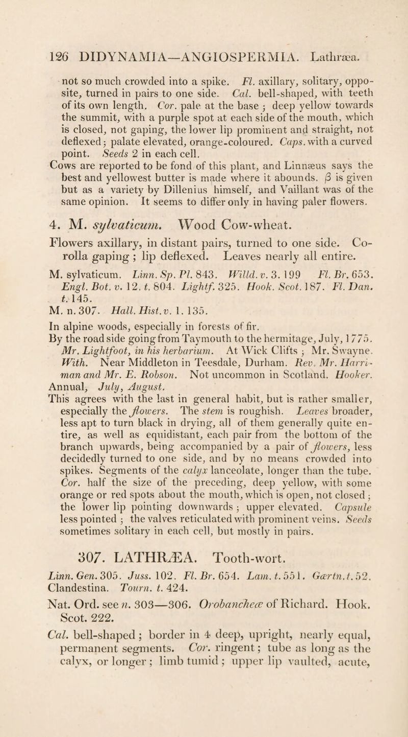 not so much crowded into a spike, FI. axillary, solitary, oppo¬ site, turned in pairs to one side. Cal. bell-shaped, with teeth of its own length. Cor. pale at the base 3 deep yellow towards the summit, with a purple spot at each side of the mouth, which is closed, not gaping, the lower lip prominent and straight, not deflexed; palate elevated, orange-coloured. Cups, with a curved point. Seeds 2 in each cell. Cows are reported to be fond of this plant, and Linnaeus says the best and yellowest butter is made where it abounds. (3 is given but as a variety by Dillenius himself, and Vaillant was of the same opinion. It seems to differ only in having paler flowers. 4. M. sylvaticum. Wood Cow-wheat. Flowers axillary, in distant pairs, turned to one side. Co¬ rolla gaping ; lip deflexed. Leaves nearly all entire. M. sylvaticum. Linn. Sp. PI. 843. Willd. v. 3. 199 FI. Br. 653. Engl. Bot. v. 12. t. 804. Light/. 325. Hook. Scot. 187. FI. Dan. t. 145. M. n.307. Hall. Hist. v. 1. 135. In alpine woods, especially in forests of fir. By the road side going from Taymouth to the hermitage, July, 1 775. Mr. Lightfoot, in his herbarium. At Wick Clifts 3 Mr. Swayne. With. Near Middleton in Teesdale, Durham. Rev. Mr. Harri- man and Mr. E. Robson. Not uncommon in Scotland. Hooker. Annual, July, August. This agrees with the last in general habit, but is rather smaller, especially the jlowers. The stem is roughish. Leaves broader, less apt to turn black in drying, all of them generally quite en¬ tire, as well as equidistant, each pair from the bottom of the branch upwards, being accompanied by a pair of /lowers, less decidedly turned to one side, and by no means crowded into spikes. Segments of the calyx lanceolate, longer than the tube. Cor. half the size of the preceding, deep yellow, with some orange or red spots about the month, which is open, not closed j the lower lip pointing downwards 3 upper elevated. Capsule less pointed 3 the valves reticulated with prominent veins. Seeds sometimes solitary in each cell, but mostly in pairs. 307. LATHI17EA. Tooth-wort. Linn.Gen. 305. Juss. 102. FI. Br. 654. Lam. t. 5b 1. Gcertn.t.b2. Clandestina. Tourn. t. 424. Nat. Orel, see n. 303—306. Oi obanchccc of Richard. Hook. Scot. 222. Cal. bell-shaped; border in 4 deep, upright, nearly equal, permanent segments. Cor. ringent; tube as long as the calyx, or longer ; limb tumid ; upper lip vaulted, acute,