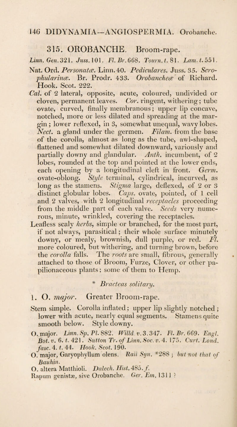 315. OROBANCHE. Broom-rape. Linn. Gen. 321. Juss. 101. Fl.Br.668. Tourn.t.8\. Lam.t. 551. Nat. Ord. Personatcc. Linn. 40. Pediculares. Juss. 35. Scro- phulcirince. Br. Prodr. 433. Orobanchece of Richard. Hook. Scot. 222. Cal. of 2 lateral, opposite, acute, coloured, undivided or cloven, permanent leaves. Cor. ringent, withering; tube ovate, curved, finally membranous; upper lip concave, notched, more or less dilated and spreading at the mar¬ gin ; lowrer reflexed, in 3, somewhat unequal, wavy lobes. Fleet. a gland under the mermen. Filarn. from the base of the corolla, almost as long as the tube, awl-shaped, flattened and somewhat dilated downward, variously and partially downy and glandular. Anth. incumbent, of 2 lobes, rounded at the top and pointed at the lower ends, each opening by a longitudinal cleft in front. Germ. ovate-oblong. Style terminal, cylindrical, incurved, as long as the stamens. Stigma large, deflexed, of 2 or 3 distinct globular lobes. Caps, ovate, pointed, of 1 cell and 2 valves, with 2 longitudinal receptacles proceeding from the middle part of each valve. Seeds very nume¬ rous, minute, wrinkled, covering the receptacles. Leafless scaly herbs, simple or branched, for the most part, if not always, parasitical; their whole surface minutely downy, or mealy, brownish, dull purple, or red. FI. more coloured, but withering, and turning brown, before the corolla falls. The roots are small, fibrous, generally attached to those of Broom, Furze, Clover, or other pa¬ pilionaceous plants; some of them to Hemp. # Bracteas solitary. 1. O. major. Greater Broom-rape. Stem simple. Corolla inflated; upper lip slightly notched ; lower with acute, nearly equal segments. Stamens quite smooth below. Style downy. O. major. Linn. Sp. PL 882. WiUd v. 3.347. FI. Br. 6G9. Engl. Bot.v. 6. t. 421. Sutton Tr.of Linn. Soc. v. 4. 1/5. Curt. Lond. fcisc. 4. t. 44. Hook. Scot. 190. O. major, Garyophyllum olens. Rail Syn. *288 ; but mot that of Bauhin. O. altera Matthioli. Dalecli. Hist.485.f. Rapum genistse, sive Orobanche. Ger. Em, 1311?