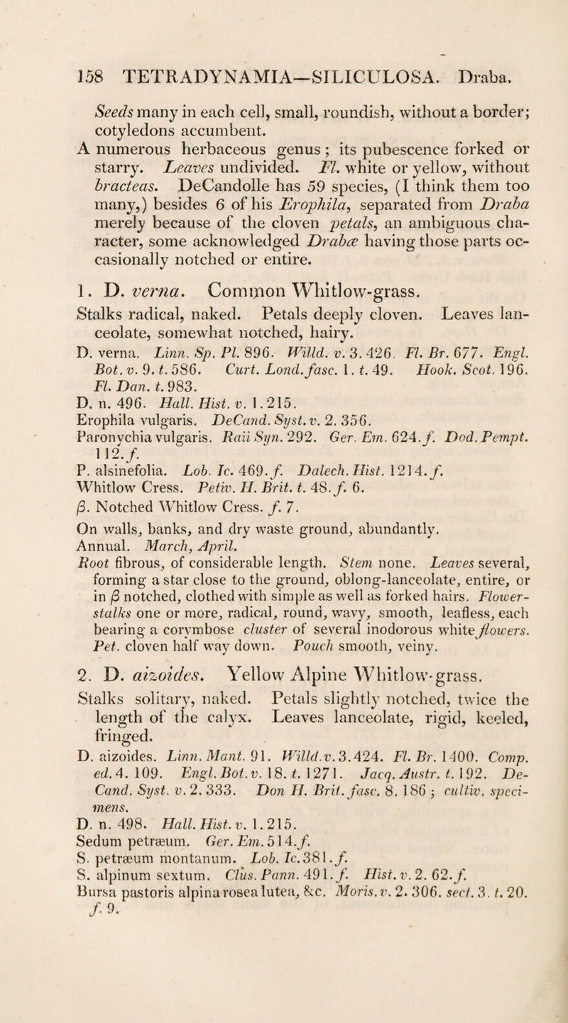 Seeds many in each cell, small, roundish, without a border; cotyledons accumbent. A numerous herbaceous genus; its pubescence forked or starry. Leaves undivided. FI. white or yellow, without bracteas. DeCandolle has 59 species, (I think them too many,) besides 6 of his Erojphila, separated from Draba merely because of the cloven petals, an ambiguous cha¬ racter, some acknowledged Drabce having those parts oc¬ casionally notched or entire. 1. D. verna. Comrjion Whitlow-grass. Stalks radical, naked. Petals deeply cloven. Leaves lan¬ ceolate, somewhat notched, hairy. D. verna. Linn. Sp. PI. 896. Willd. v. 3. 426. FI. Br. 677. Engl. Bot. v. 9. t. 586. Curt. Lond.fasc. 1. t. 49. Hook. Scot. 196. FI. Dan. t. 983. D. n. 496. Hall. Hist. v. 1.215. Erophila vulgaris. DeCand. Syst.v. 2. 356. Paronvchia vulgaris. RaiiSyn. 292. Ger. Em. 624./. Dod.Pempt. 112./ P. alsinefolia. Lob. Ic.469.f. Dalech. Hist. 1214./. Whitlow Cress. Petiv. H. Brit. t. 48./. 6. /3. Notched Whitlow Cress. /. 7. On walls, banks, and dry waste ground, abundantly. Annual. March, April. Root fibrous, of considerable length. Stem none. Leaves several, forming a star close to the ground, oblong-lanceolate, entire, or in (3 notched, clothed with simple as well as forked hairs. Flower- stalks one or more, radical, round, wavy, smooth, leafless, each bearing a corymbose cluster of several inodorous whiteJlowers. Pet. cloven half way down. Pouch smooth, veiny. 2. D. aizoides. Yellow Alpine Whitlow-grass. Stalks solitary, naked. Petals slightly notched, twice the length of the calyx. Leaves lanceolate, rigid, keeled, fringed. D. aizoides. Linn. Mant. 91. Willd. v. 3.424. FI. Br. 1400. Comp. ed.4. 109. Engl. Bot. v. 18. t. 1271. Jacq.Austr. *.192. De¬ Cand. Syst. v. 2. 333. Don H. Brit. fuse. 8. 186 ; cultiv. speci¬ mens. D. n. 498. Hall. Hist. v. 1.215. Sedum petrseum. Ger. Em. 514./. S. petrseum montanum. Lob. Zc.381./. S. alpinum sextum. Clus. Pann. 491./. Hist. v. 2. 62. f. Bursa pastoris alpina rosea lutea, &amp;c. Moris, v. 2. 306. sect. 3. t. 20. /•9.
